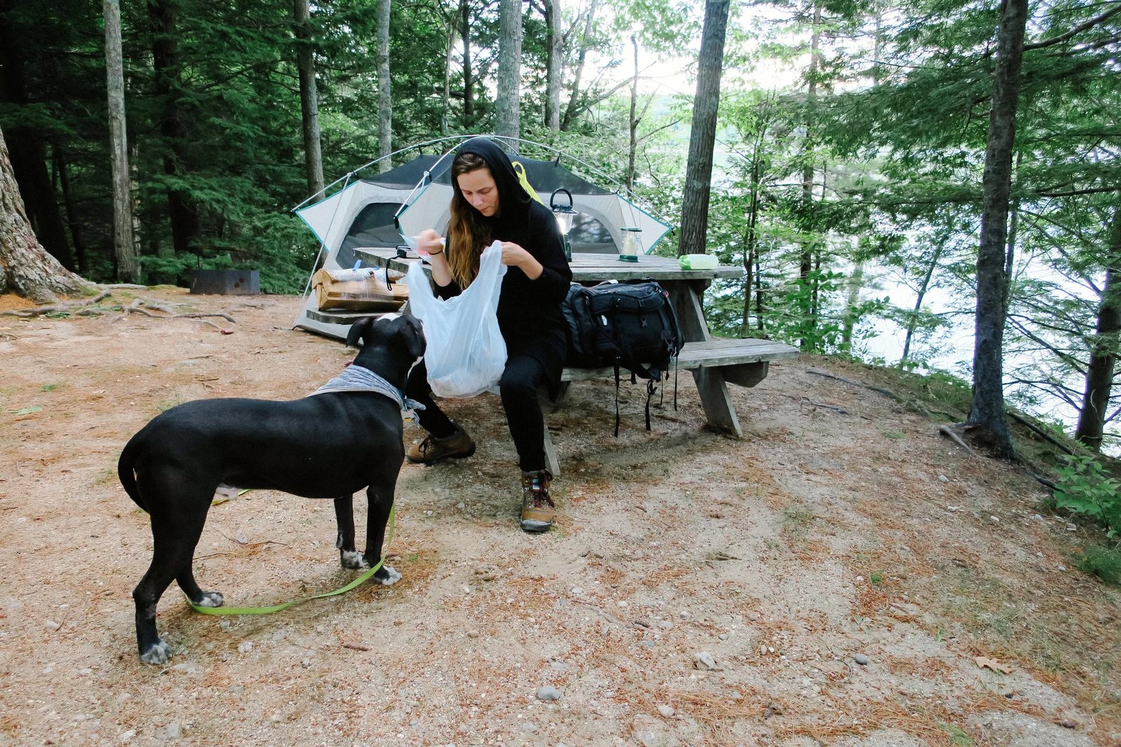 Acadia — photo 4