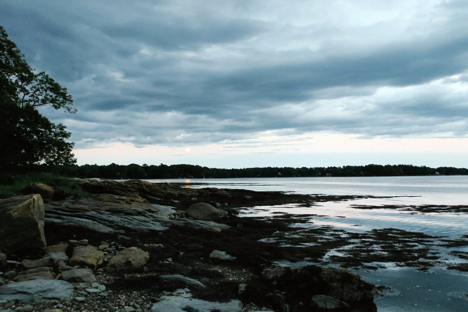 Acadia — photo 16