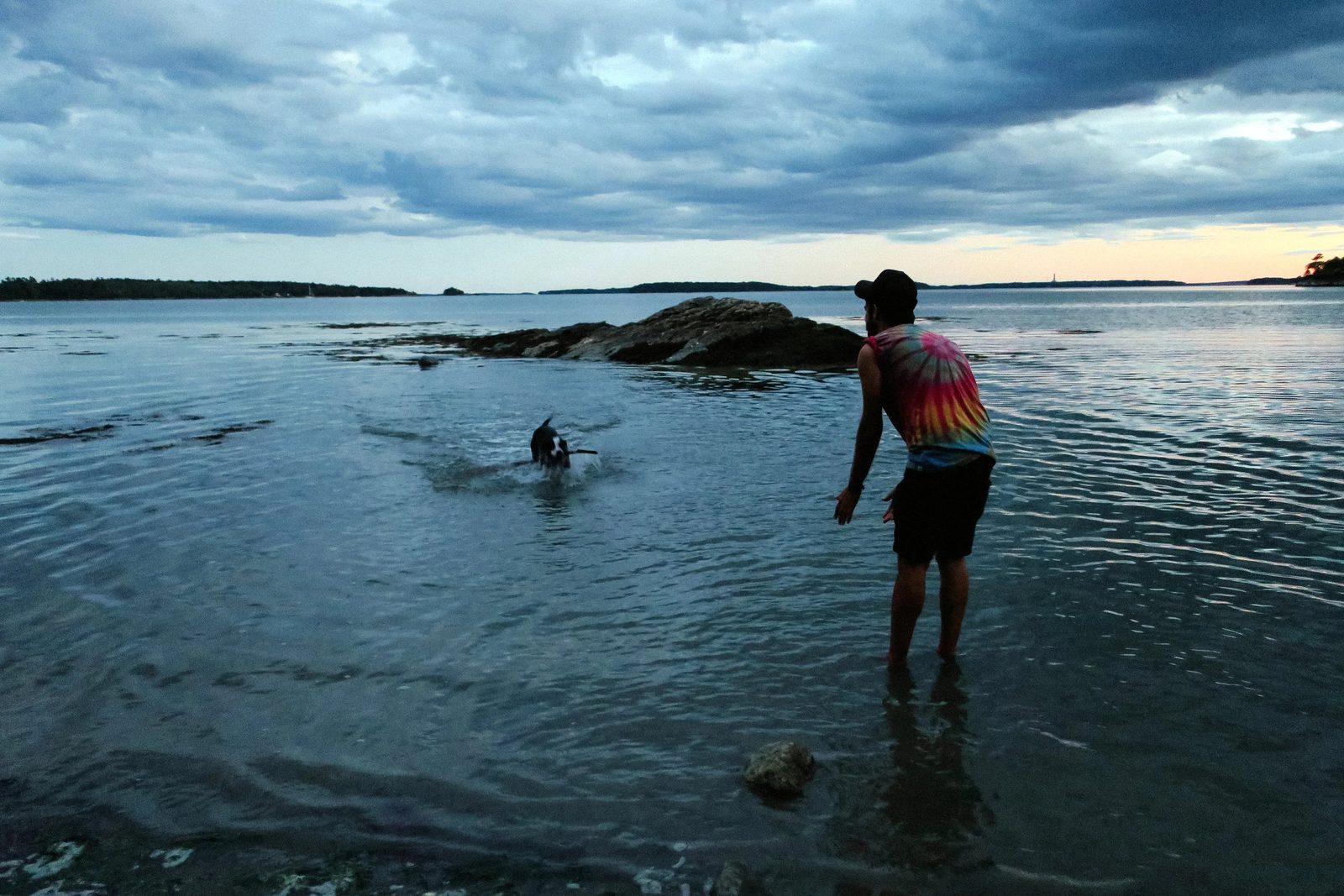 Acadia — photo 17