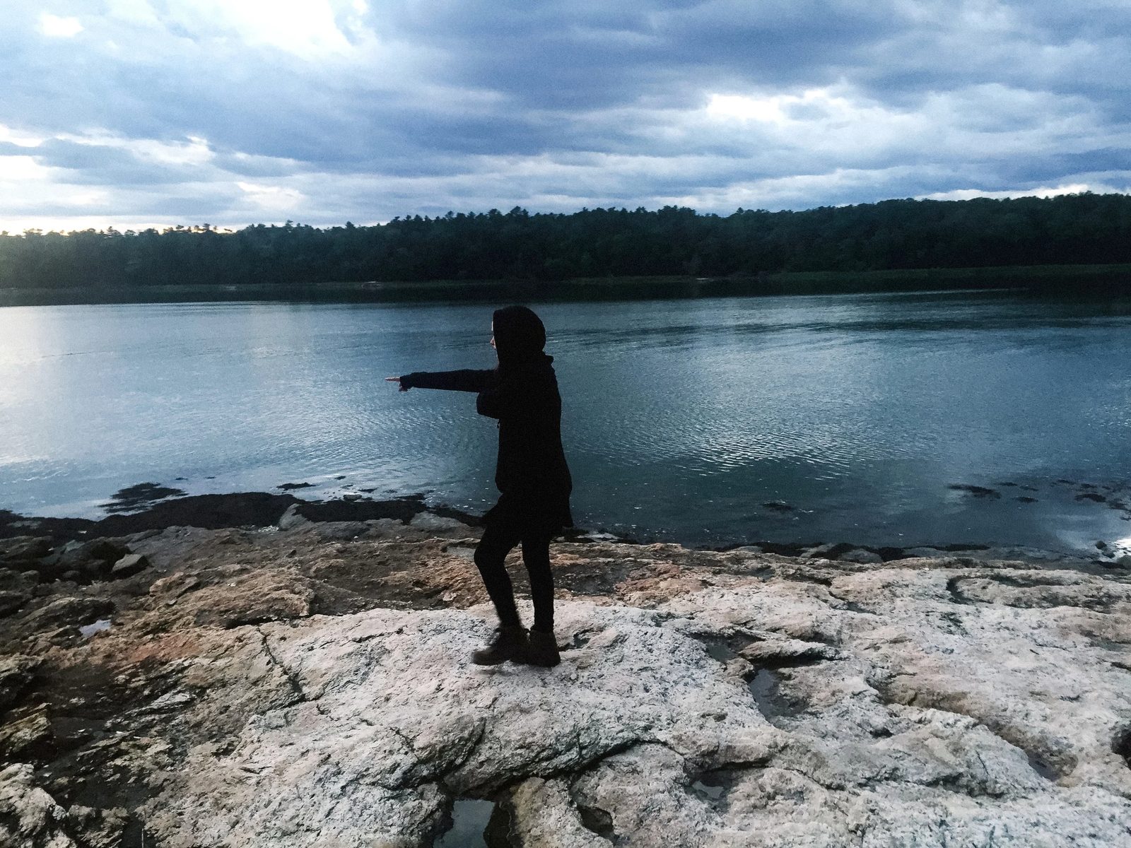 Acadia — photo 15