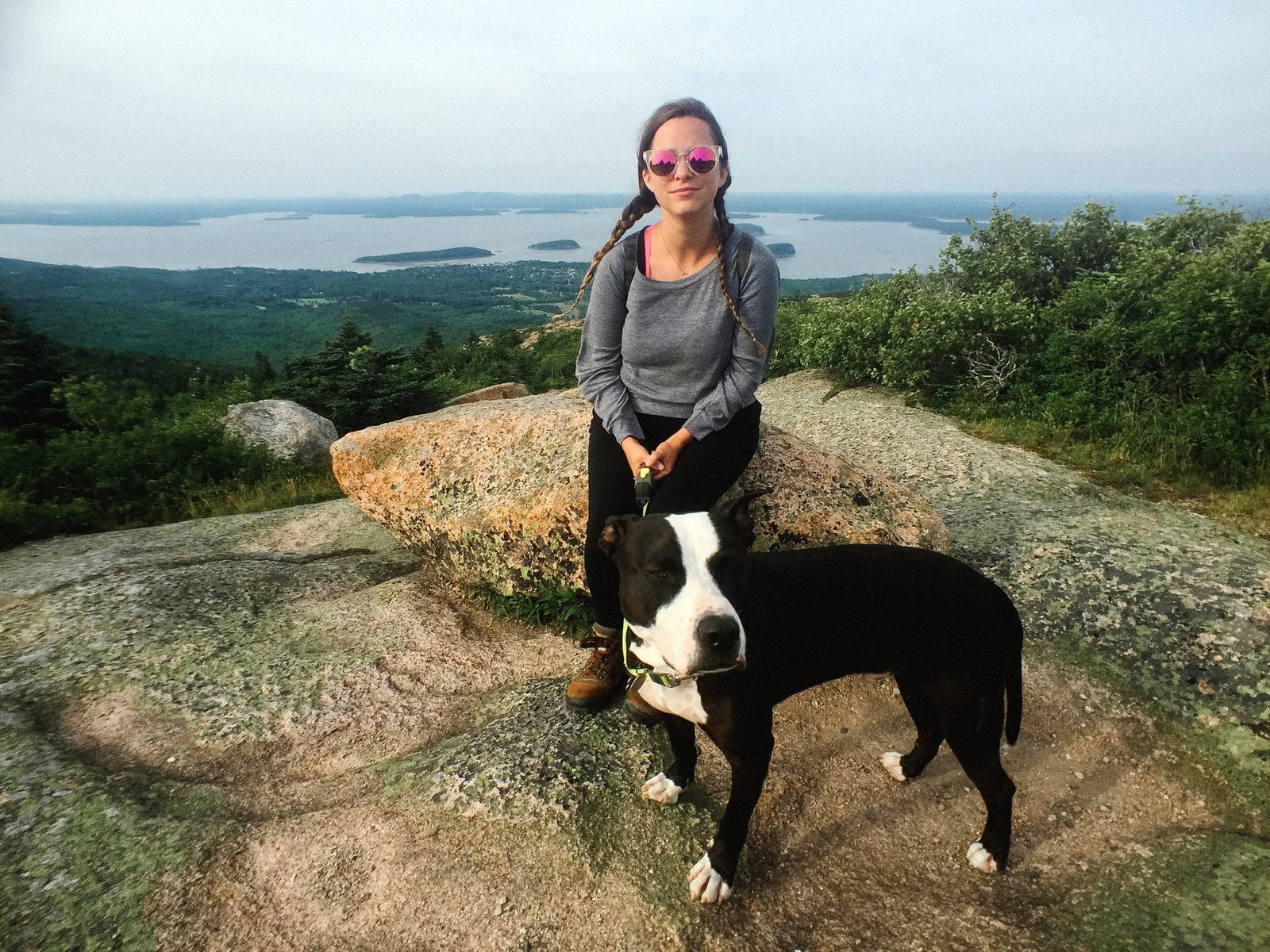 Acadia — photo 12