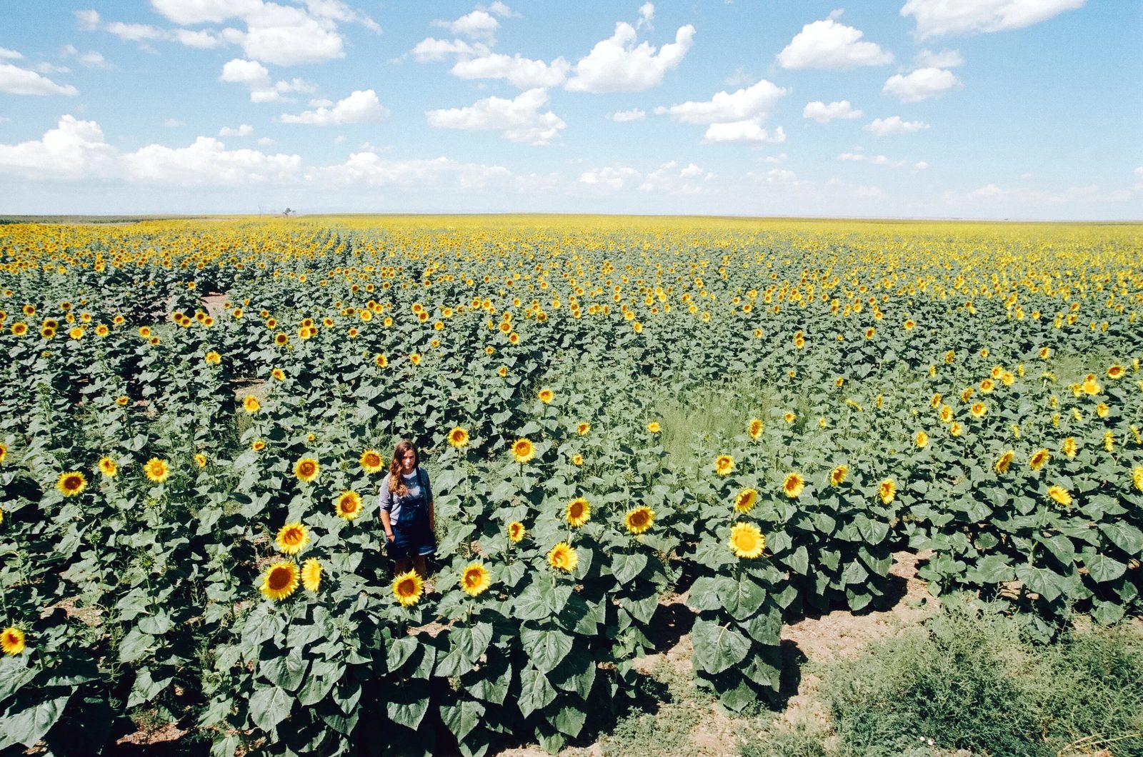 Badlands — photo 38