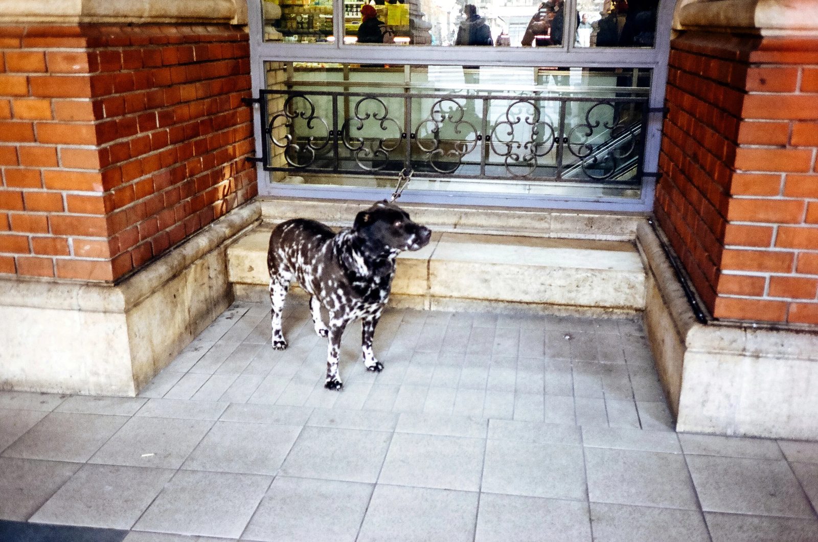 Budapest — photo 13
