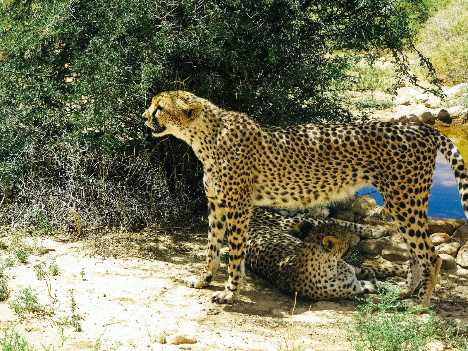 Capetown — photo 18