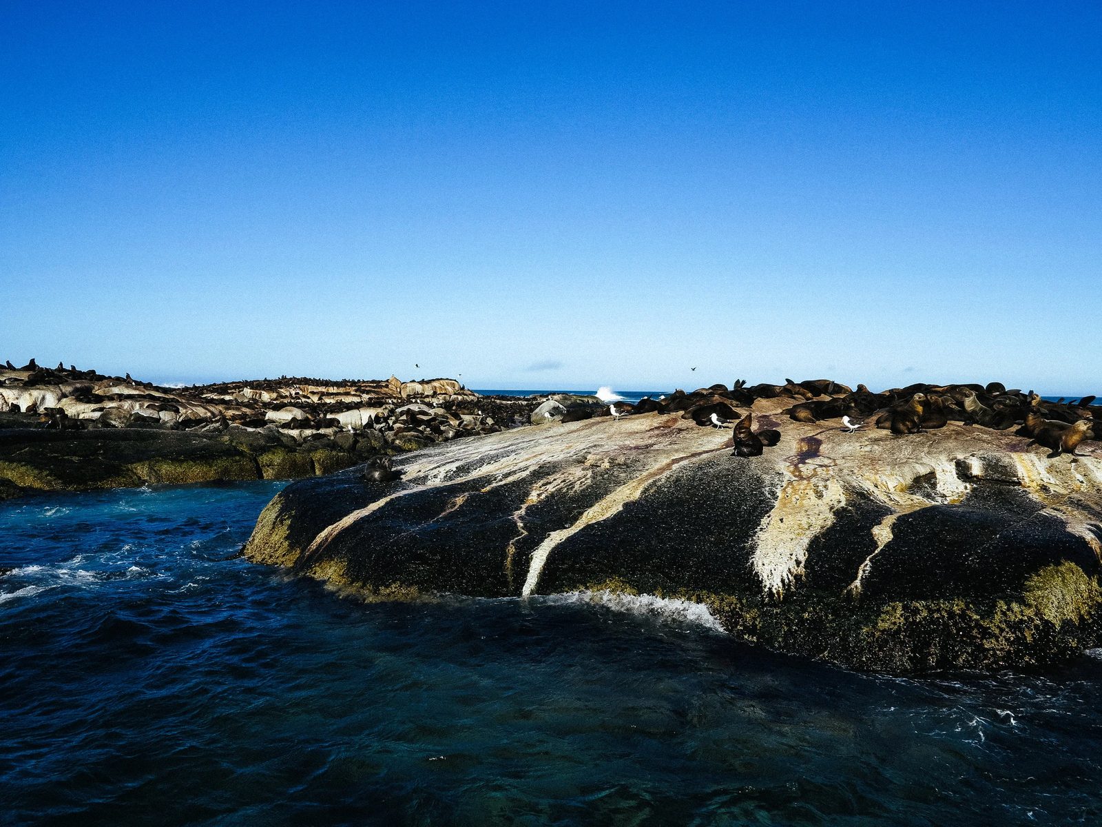 Capetown — photo 10