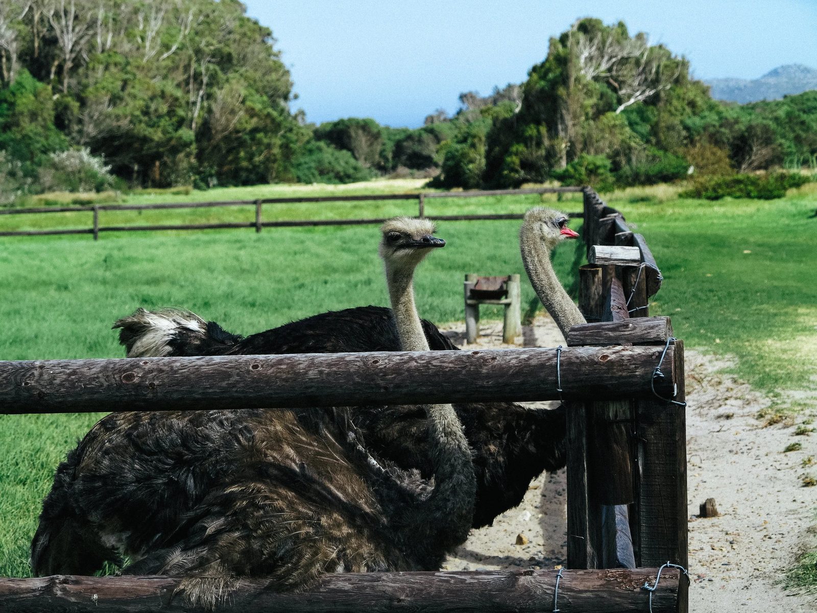 Capetown — photo 11