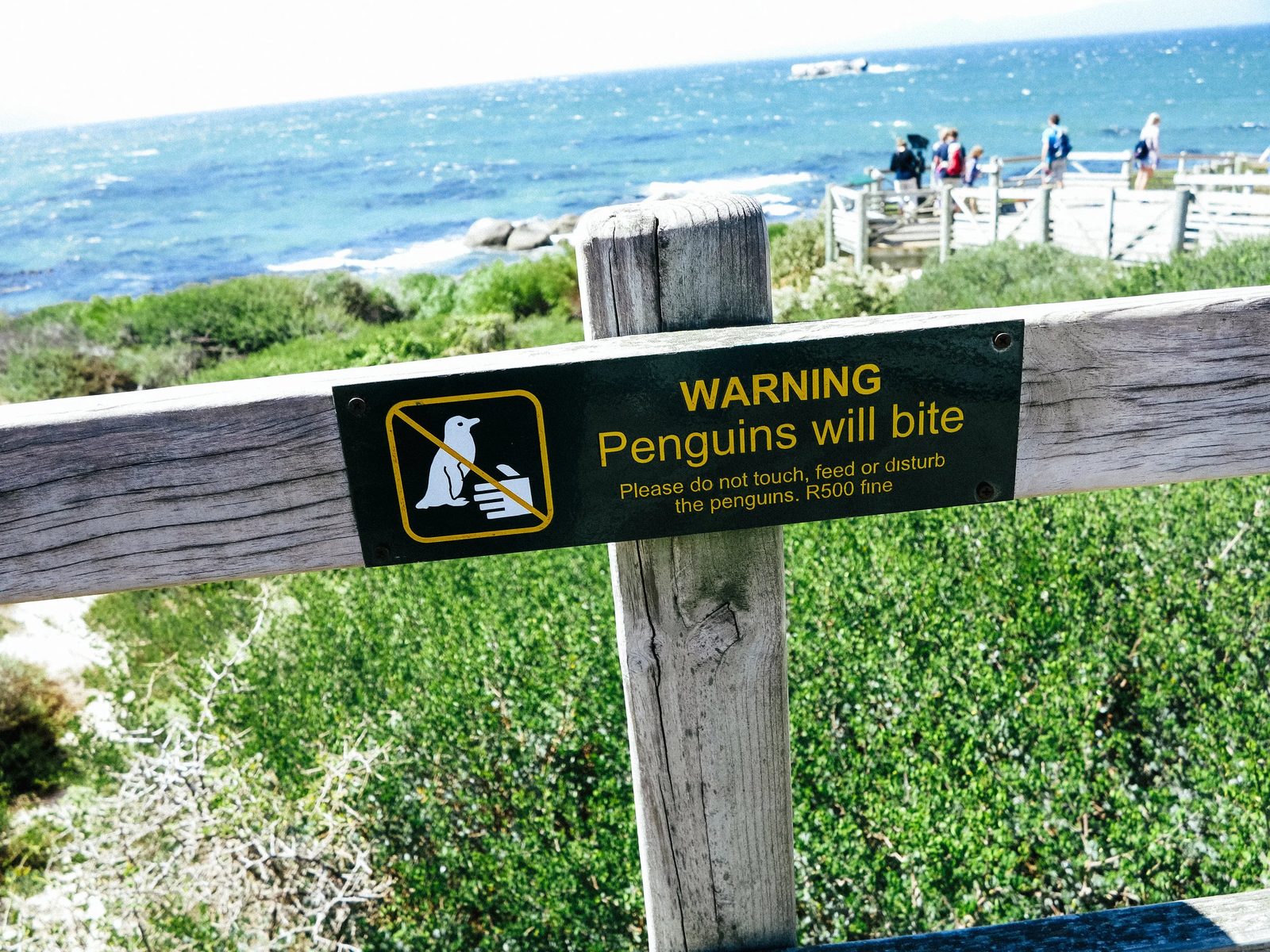 Capetown — photo 14