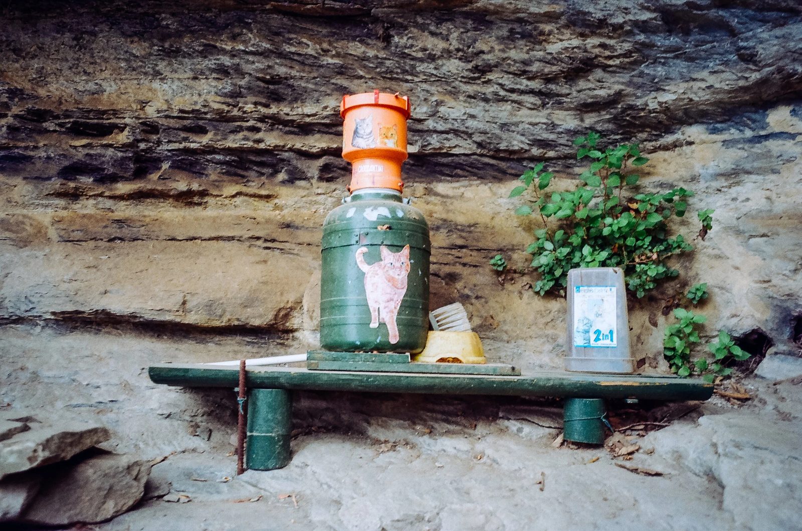 Cinque Terre — photo 13