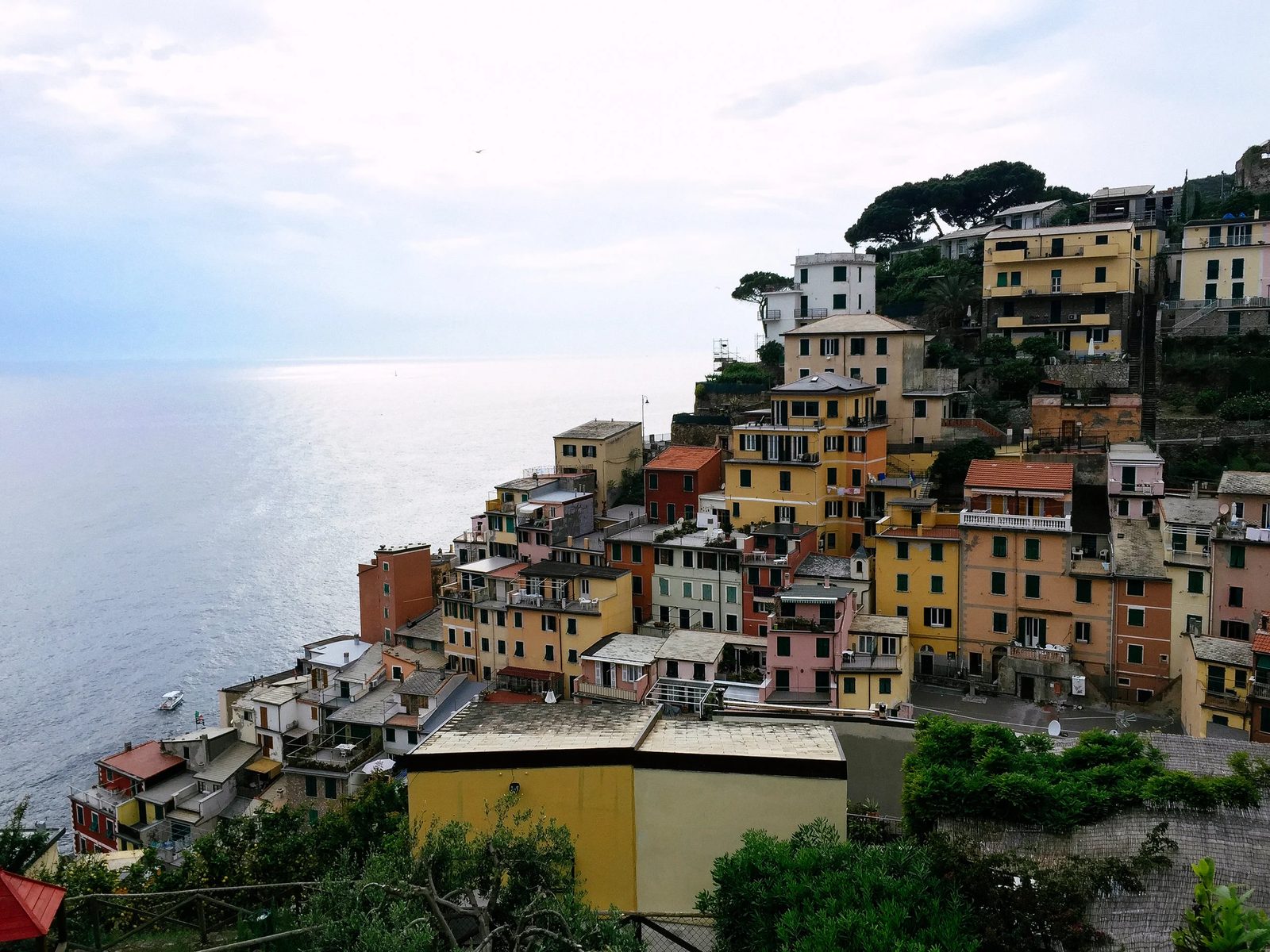 Cinque Terre — photo 22