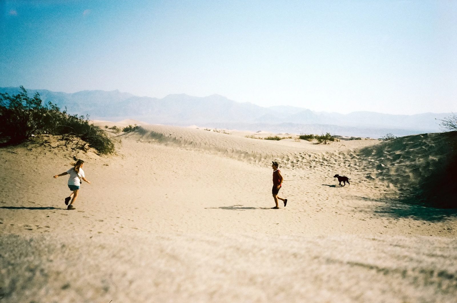 Death Valley — photo 10