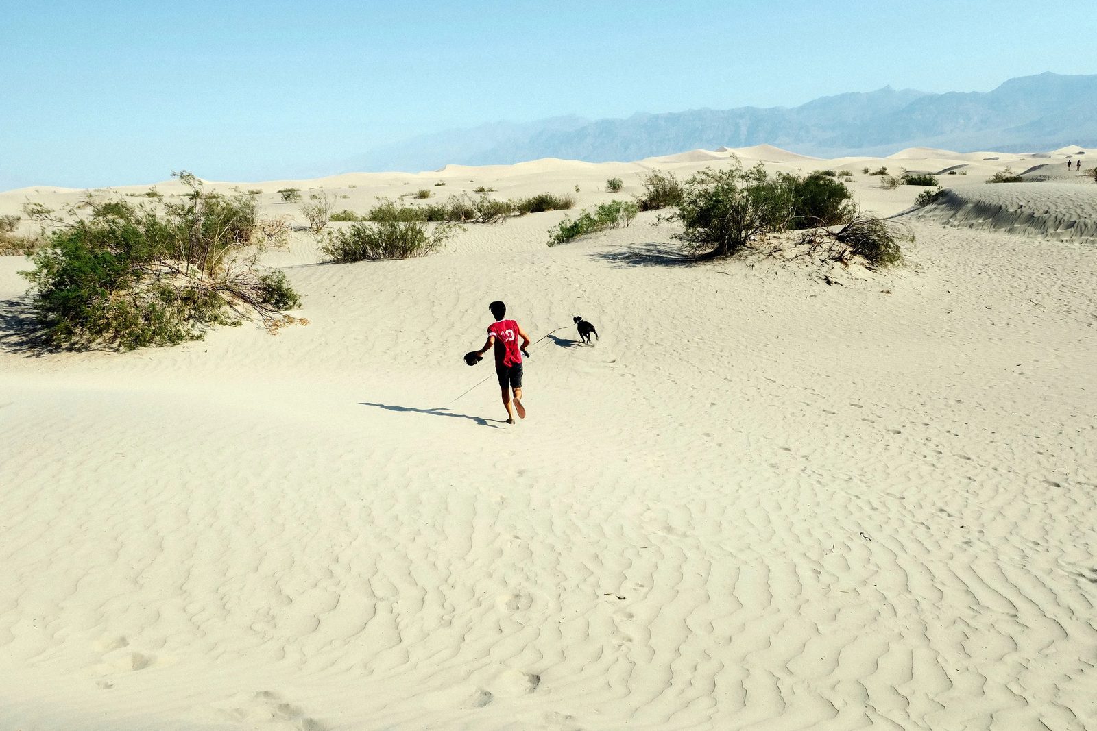 Death Valley — photo 12