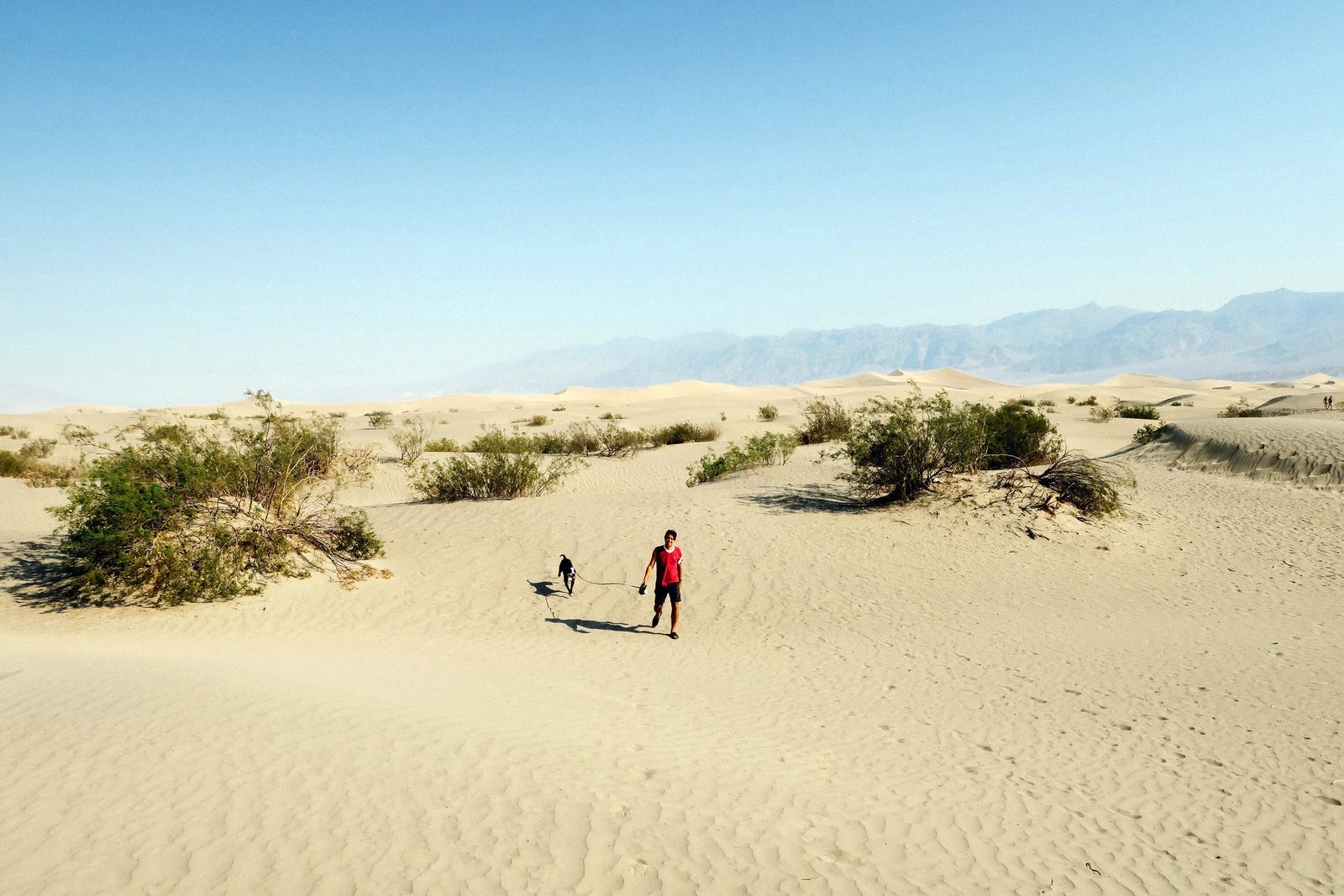 Death Valley — photo 13