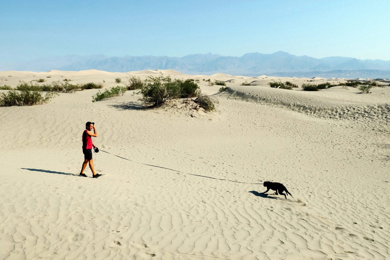 Death Valley — photo 11
