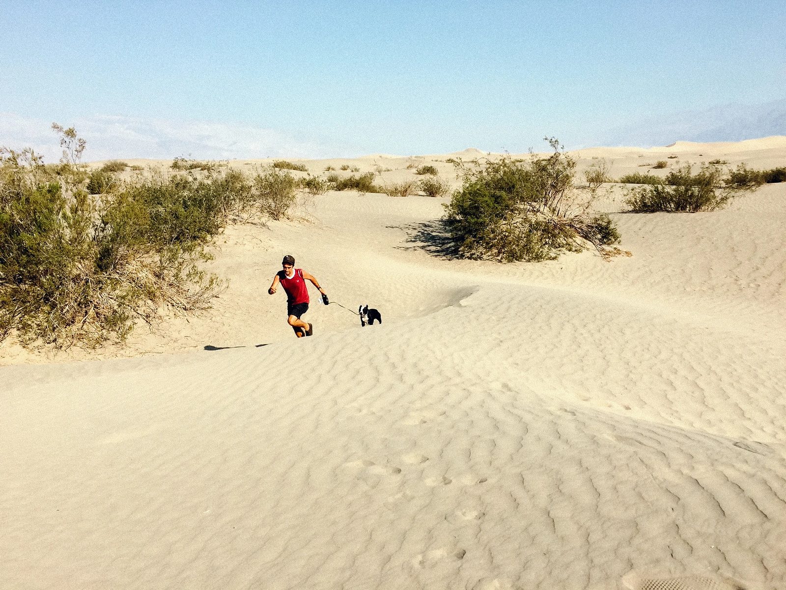 Death Valley — photo 14