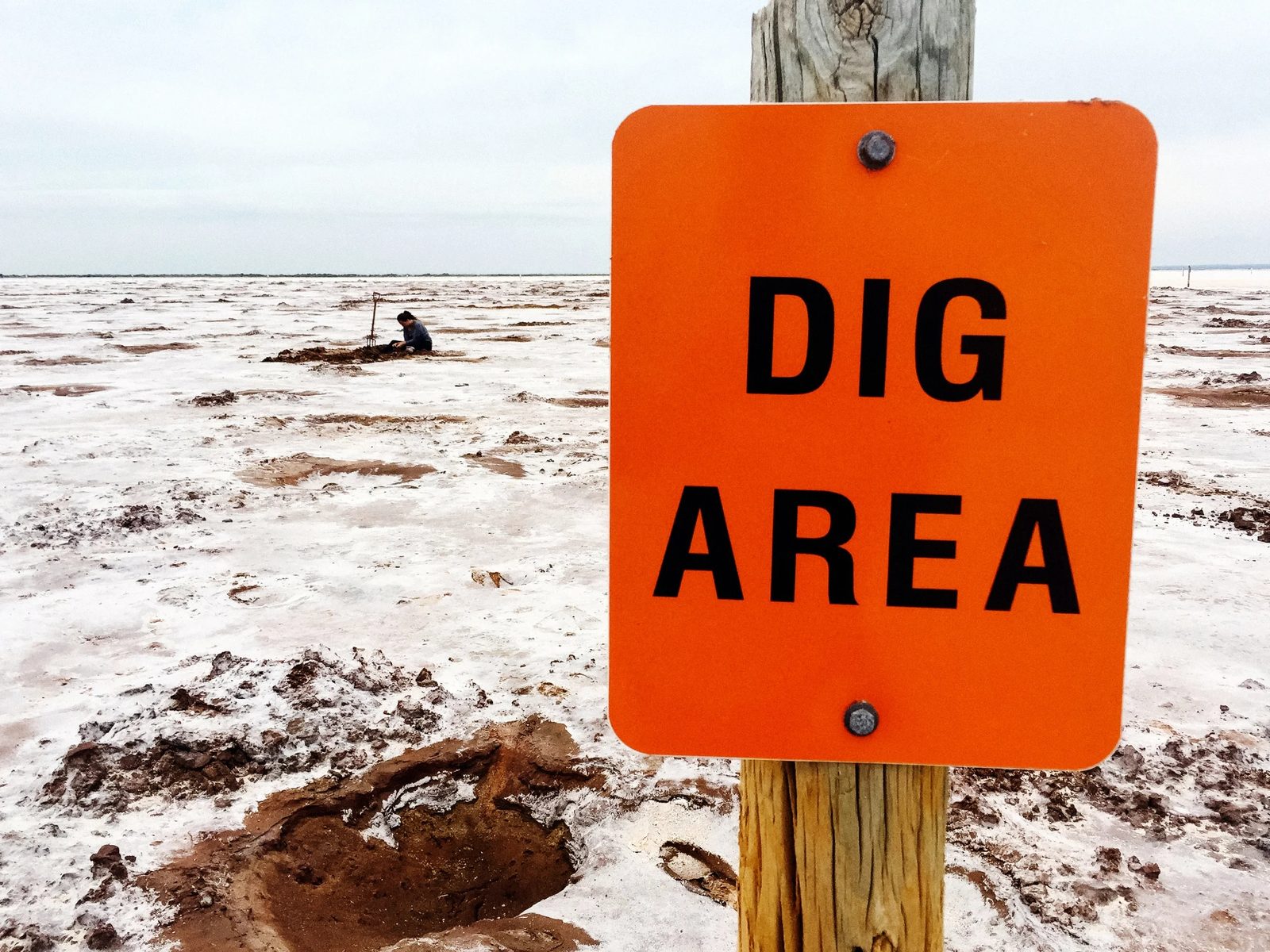 Great Salt Plains — photo 2