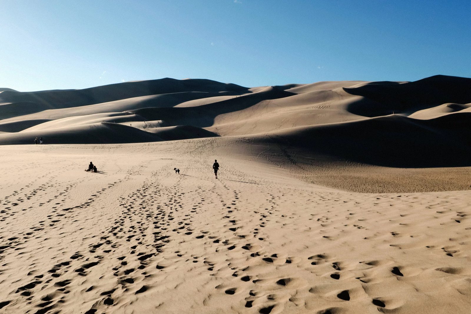 Great Sand Dunes — photo 6