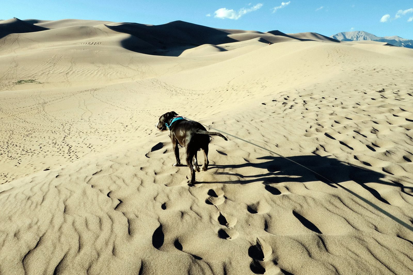 Great Sand Dunes — photo 7