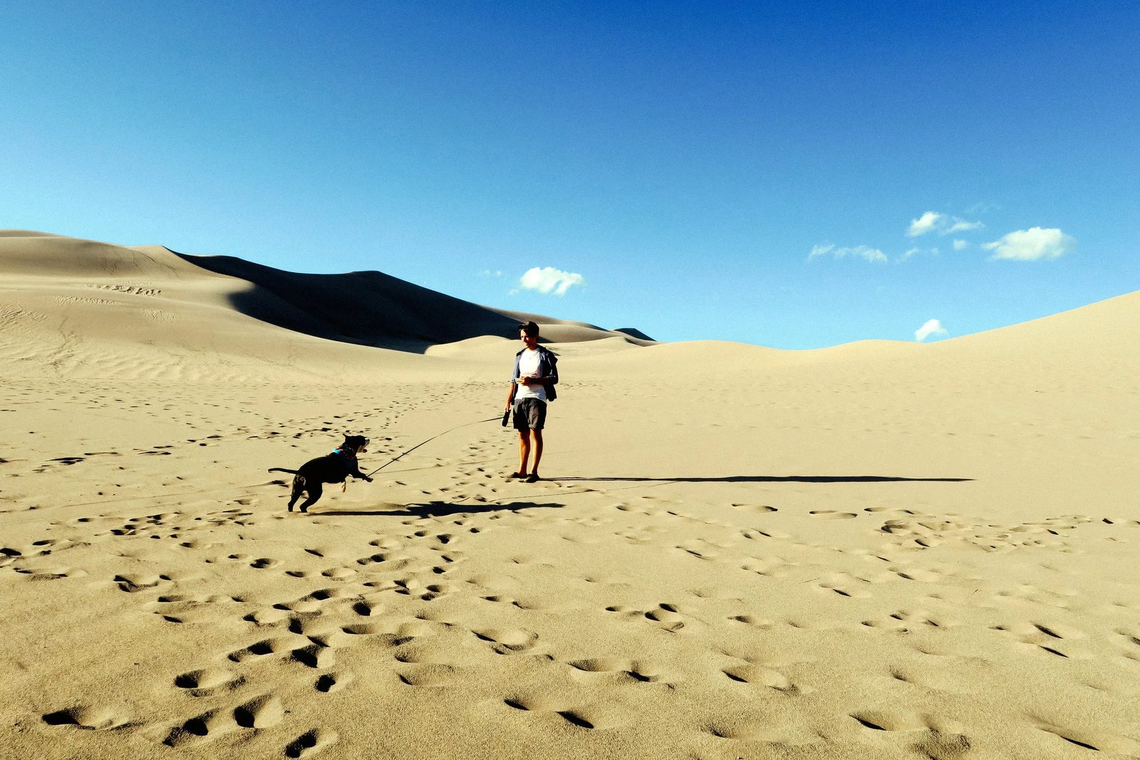Great Sand Dunes — photo 4