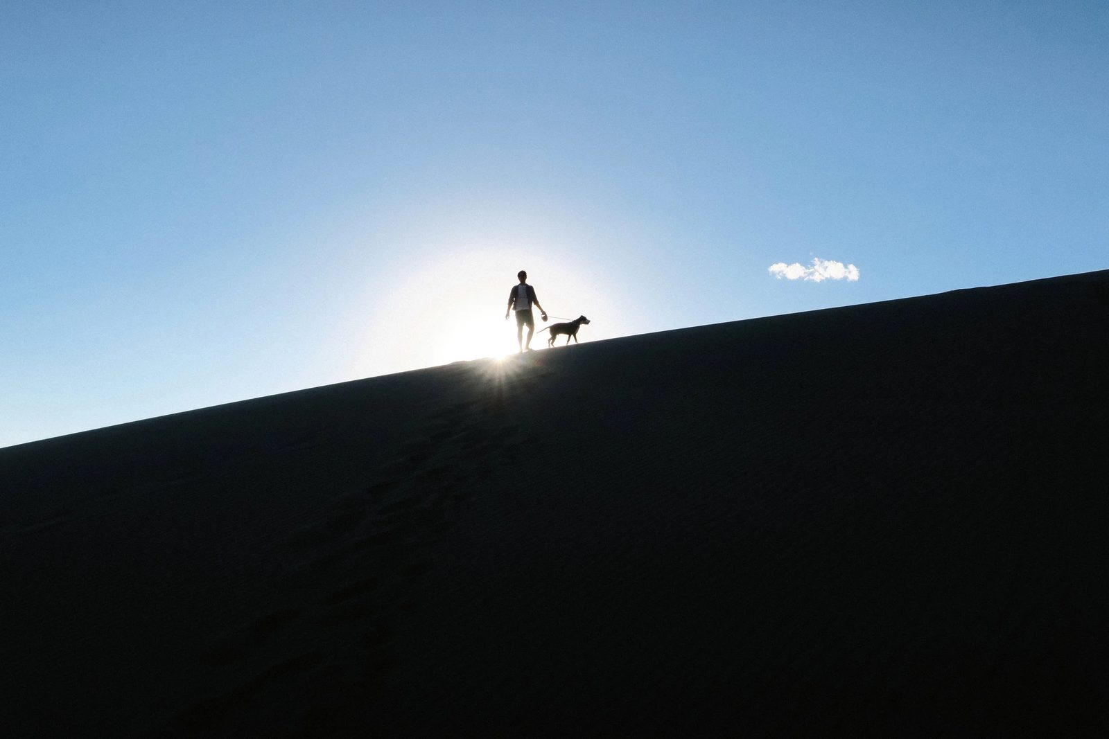 Great Sand Dunes — photo 12