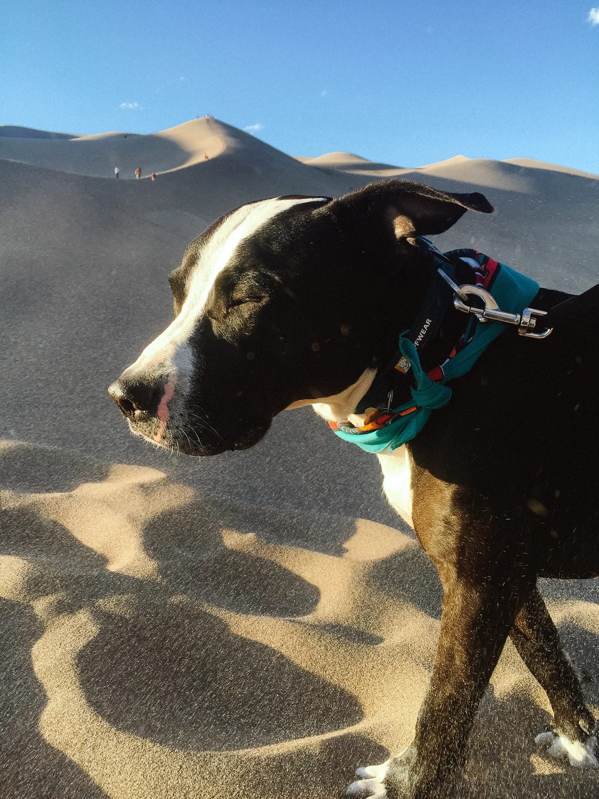 Great Sand Dunes — photo 2
