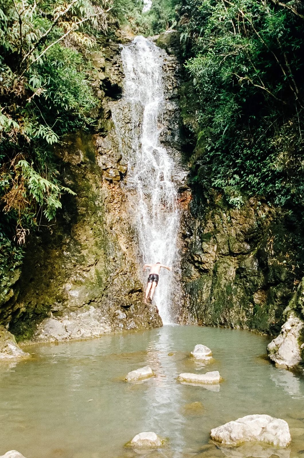 Hawaii — photo 40