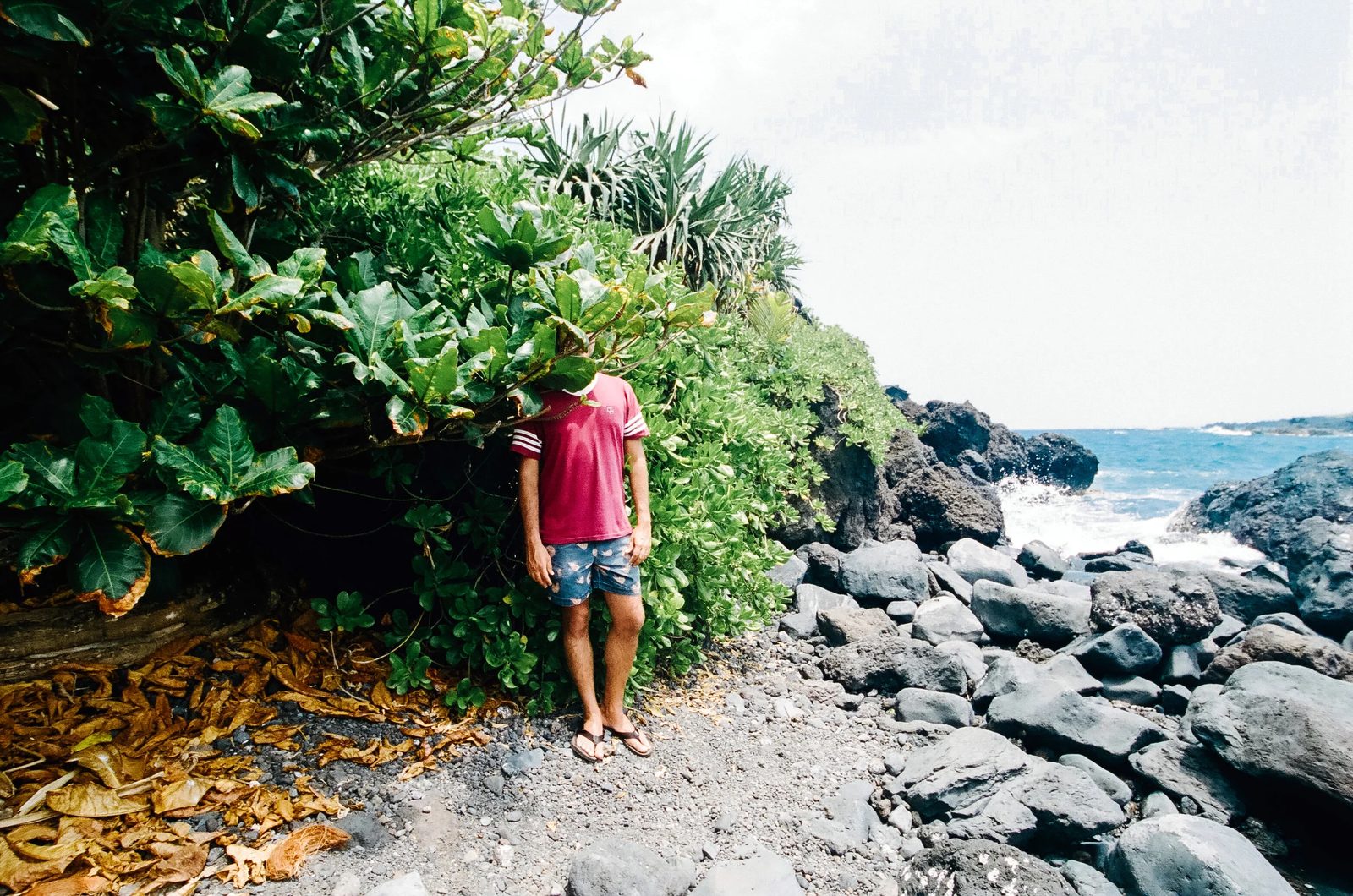 Hawaii — photo 44