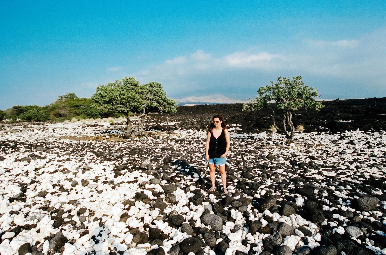 Hawaii — photo 8