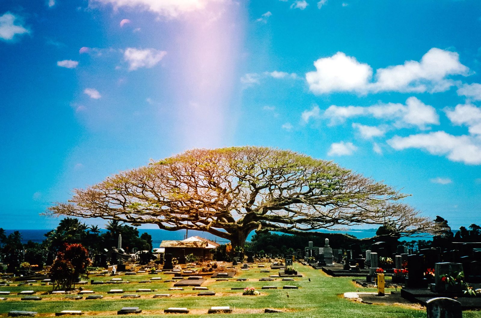 Hawaii — photo 38