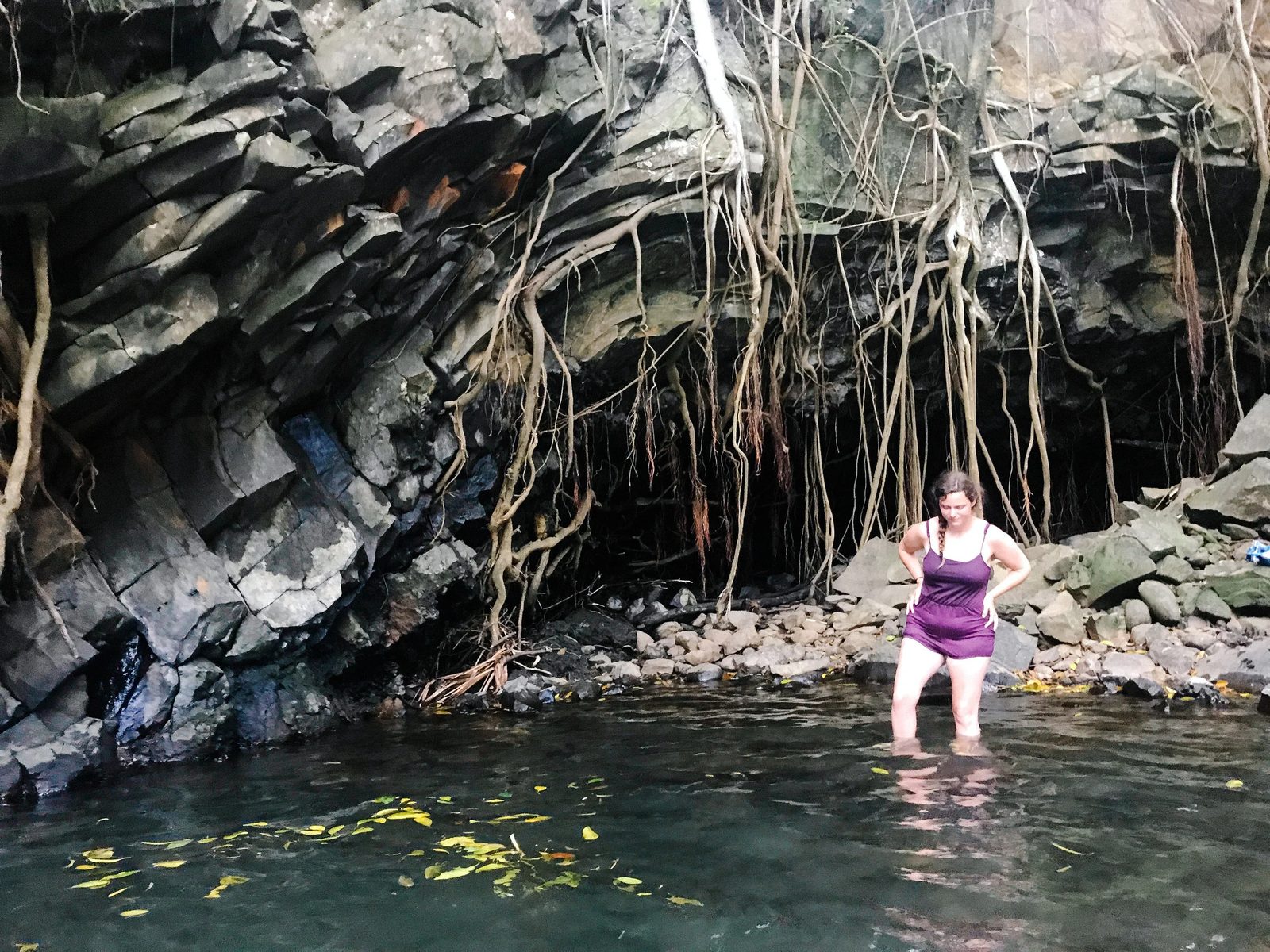 Hawaii — photo 45