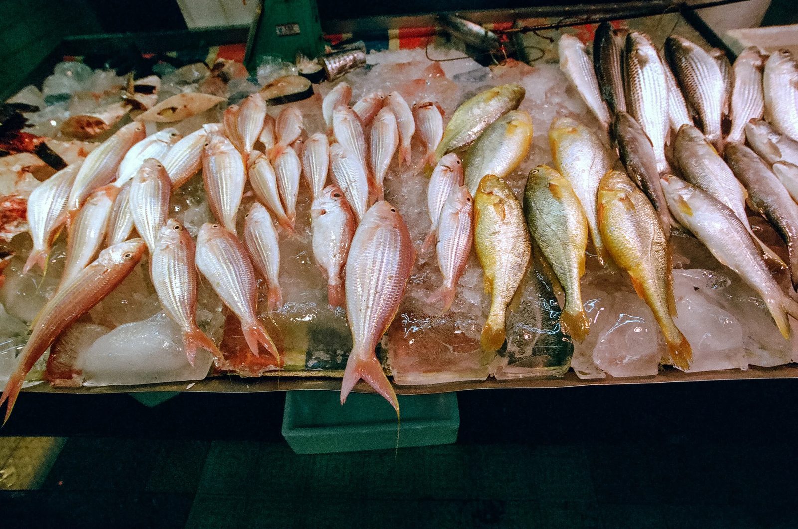Hong Kong — photo 6