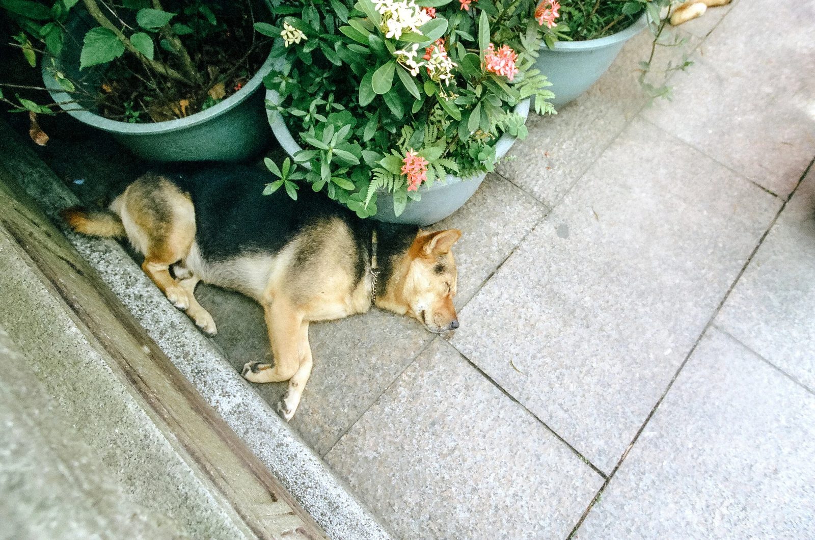 Hong Kong — photo 27
