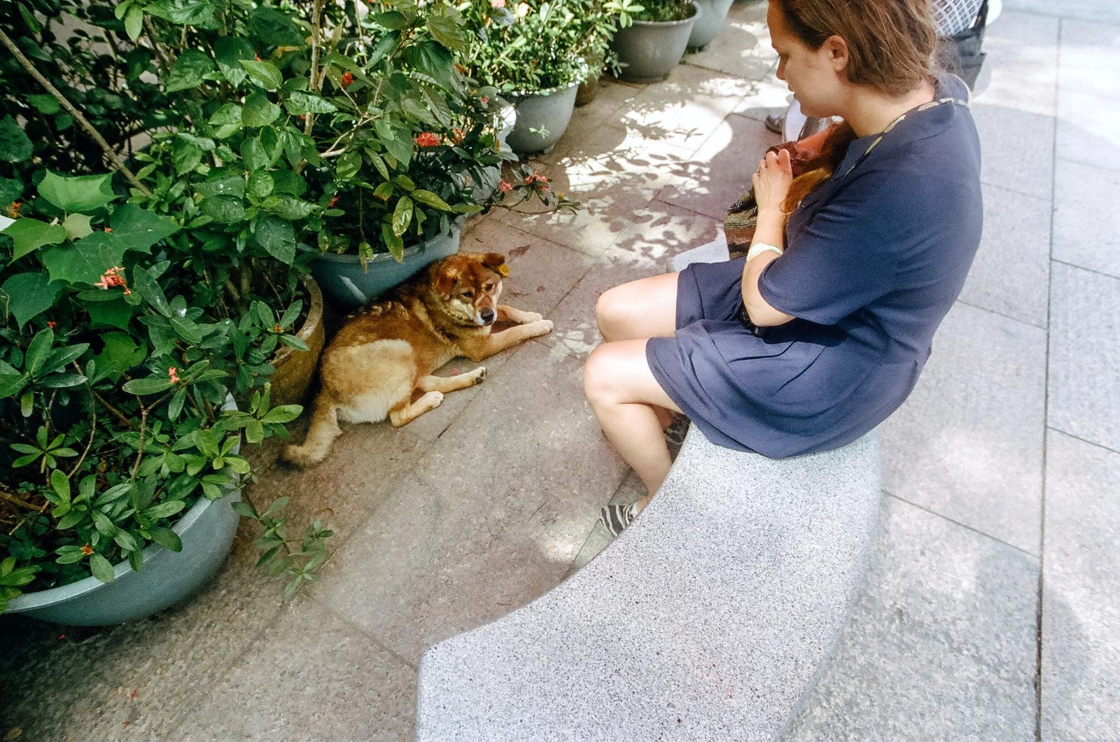 Hong Kong — photo 28