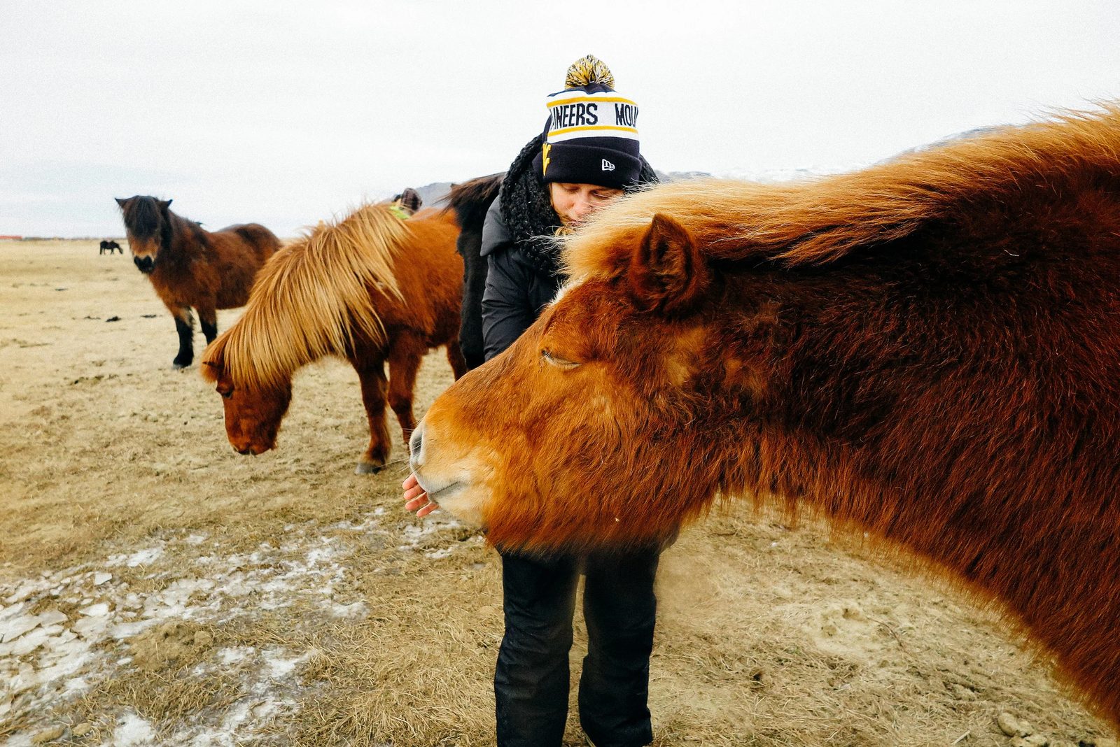 Iceland — photo 13