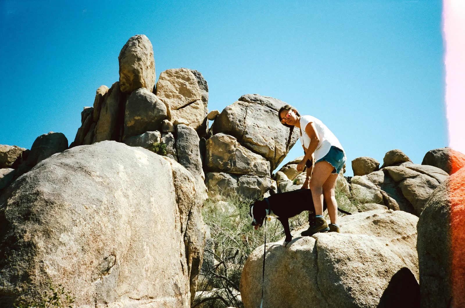 Joshua Tree — photo 2