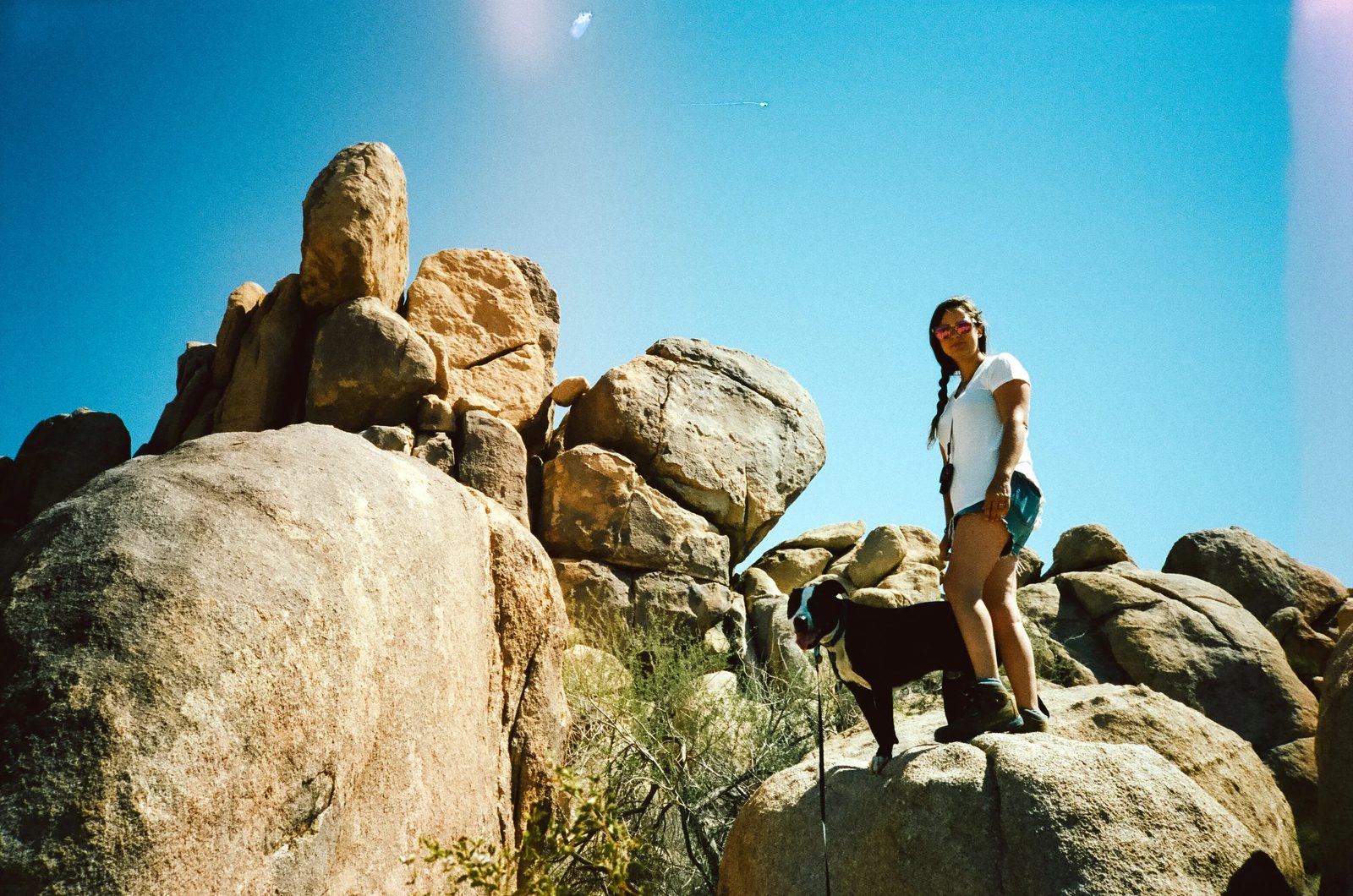 Joshua Tree — photo 1