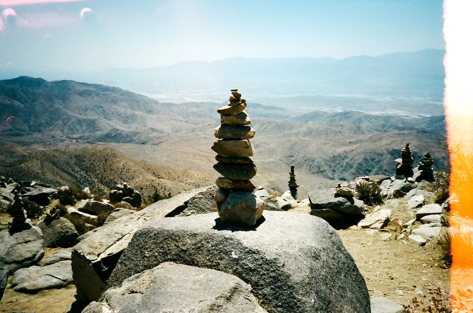 Joshua Tree — photo 14