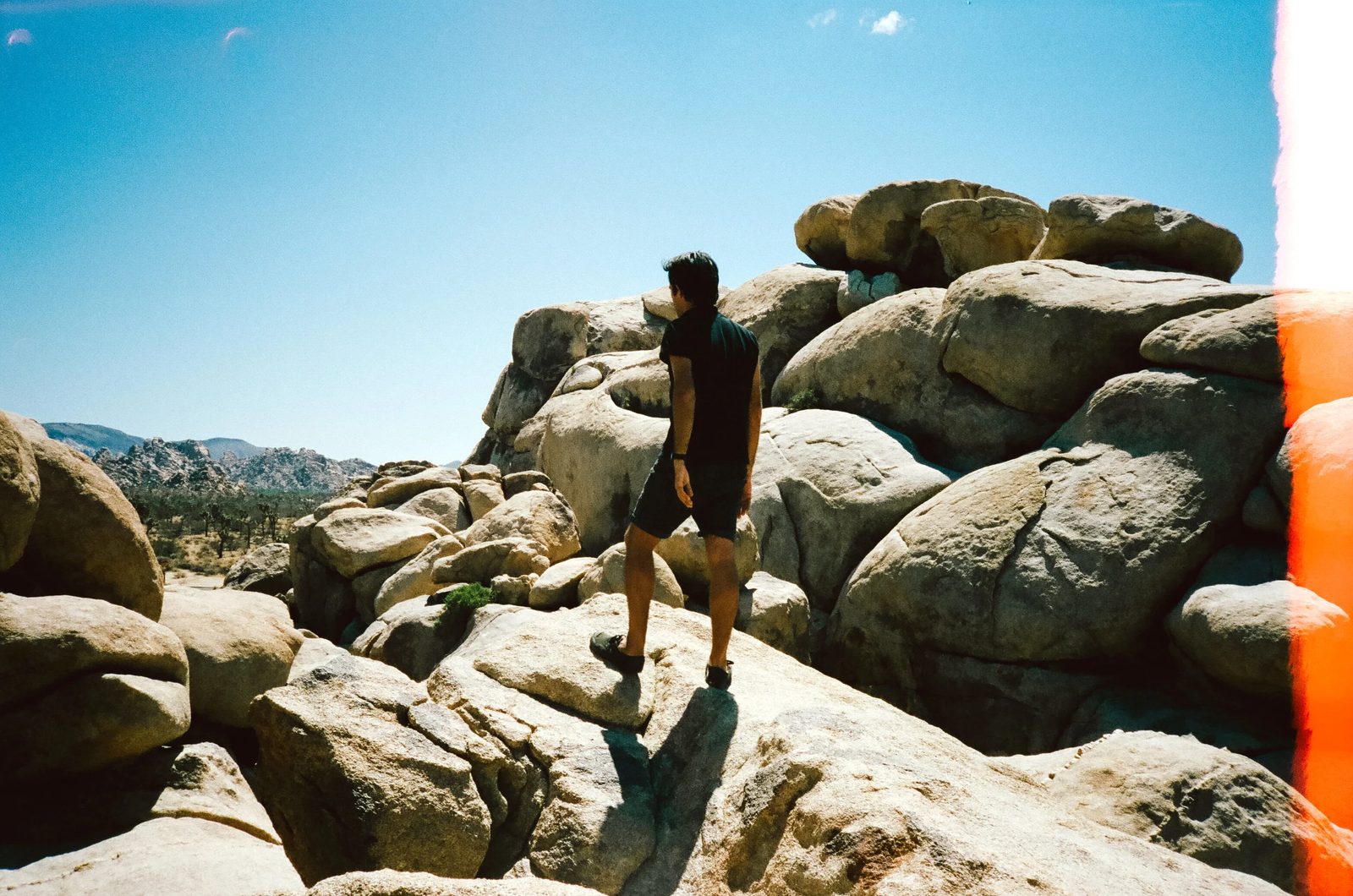 Joshua Tree — photo 8