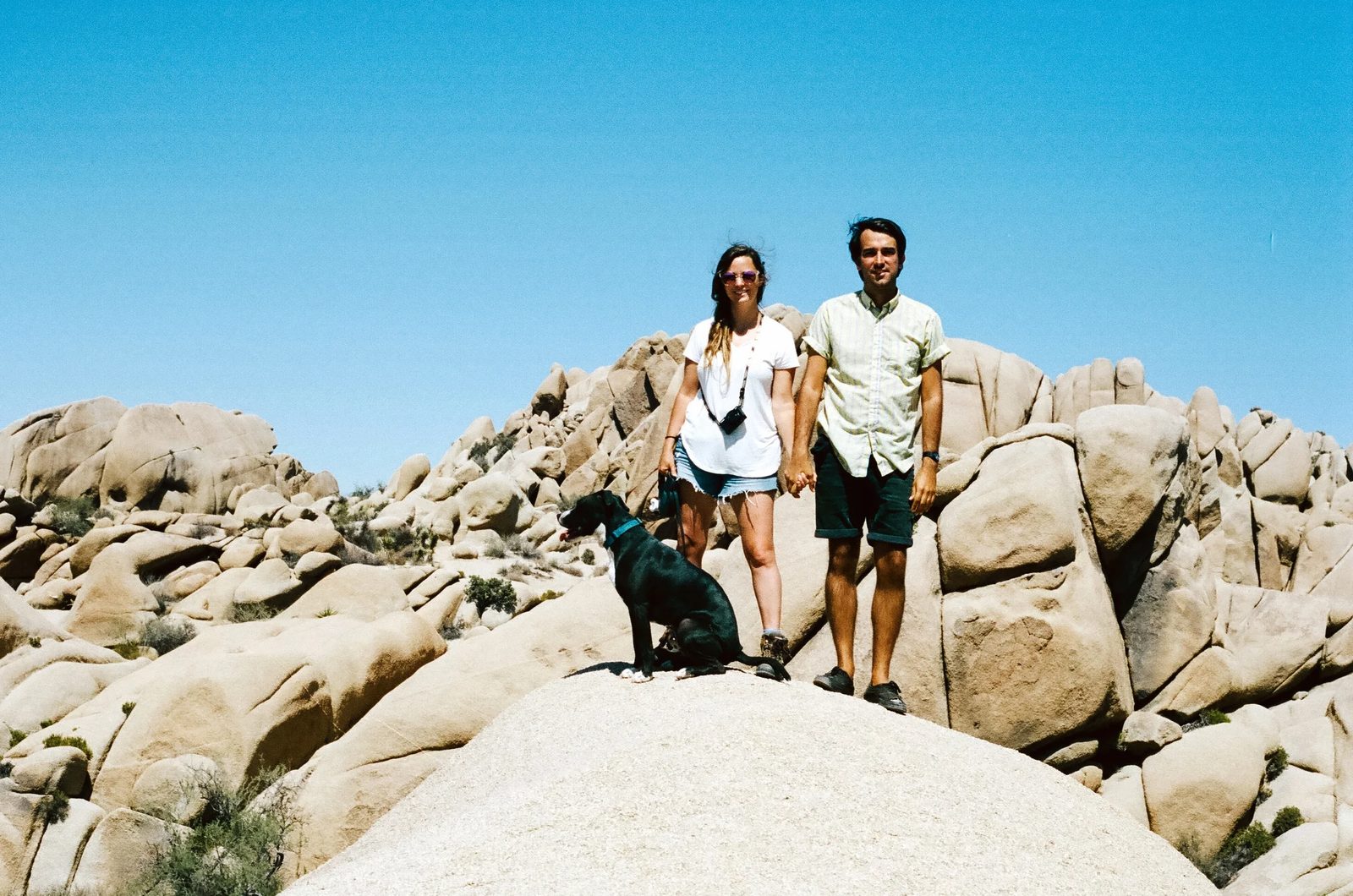 Joshua Tree — photo 3
