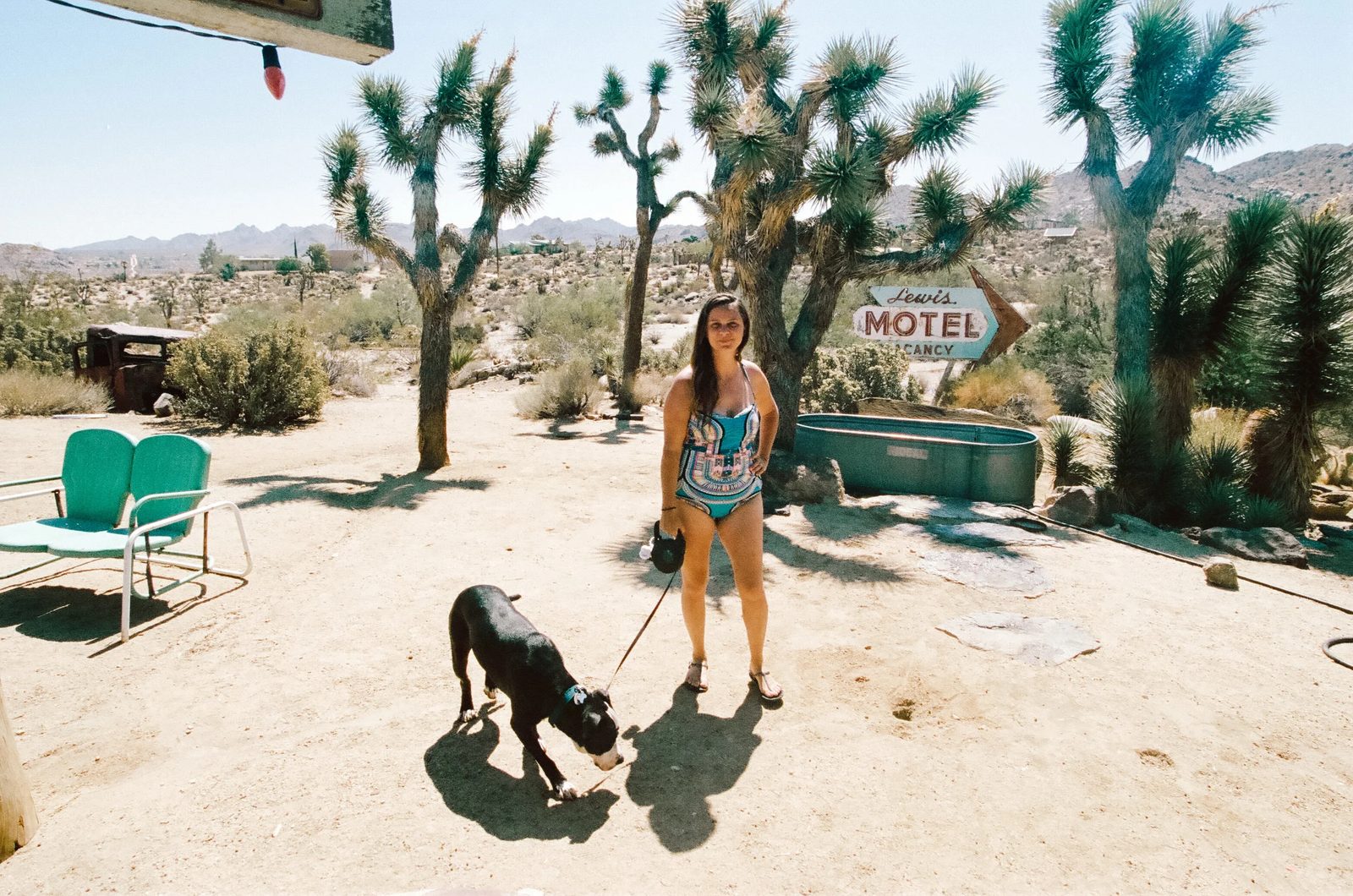 Joshua Tree — photo 28