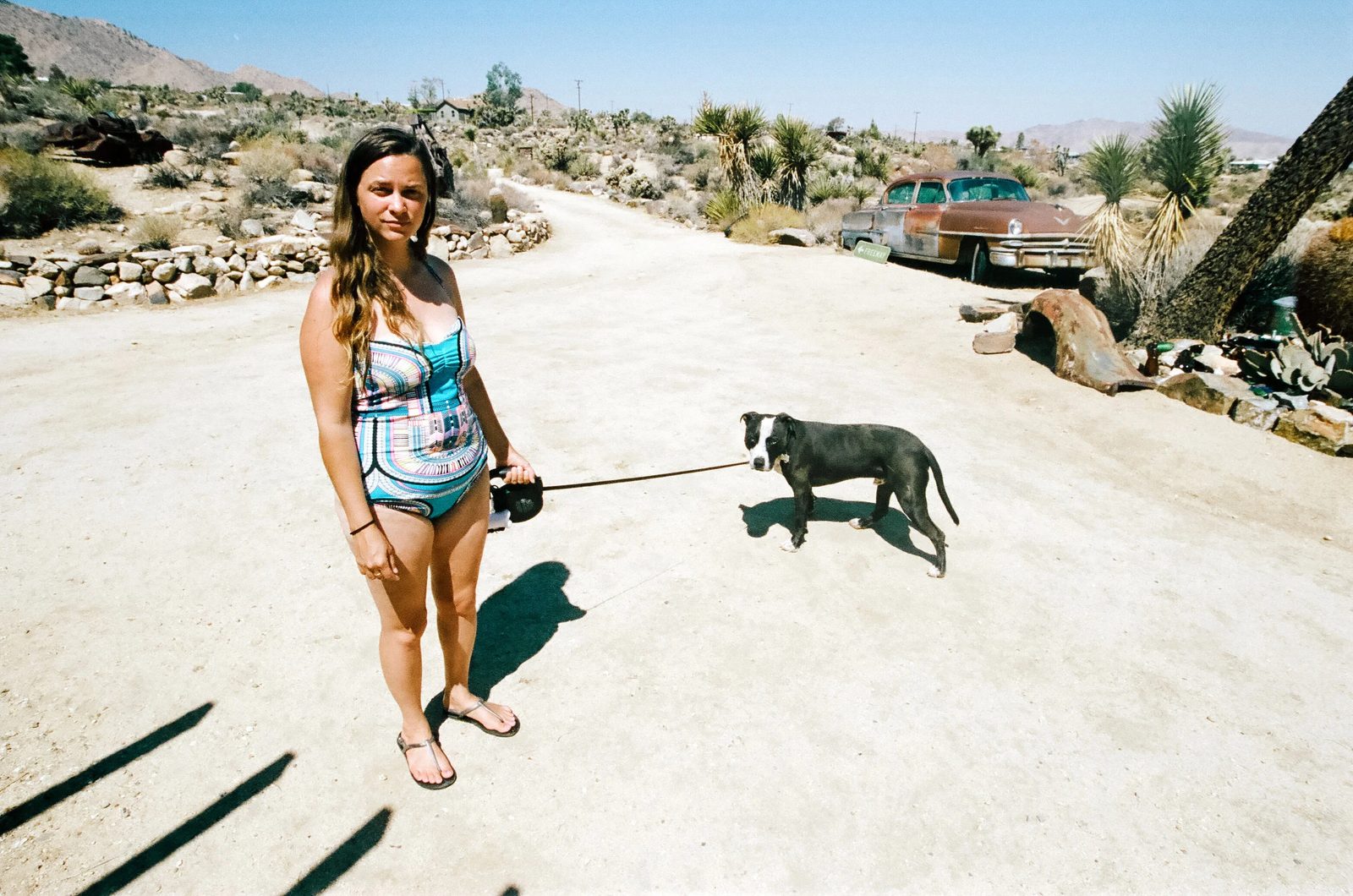 Joshua Tree — photo 27