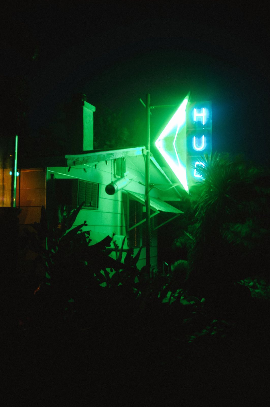 Joshua Tree — photo 47