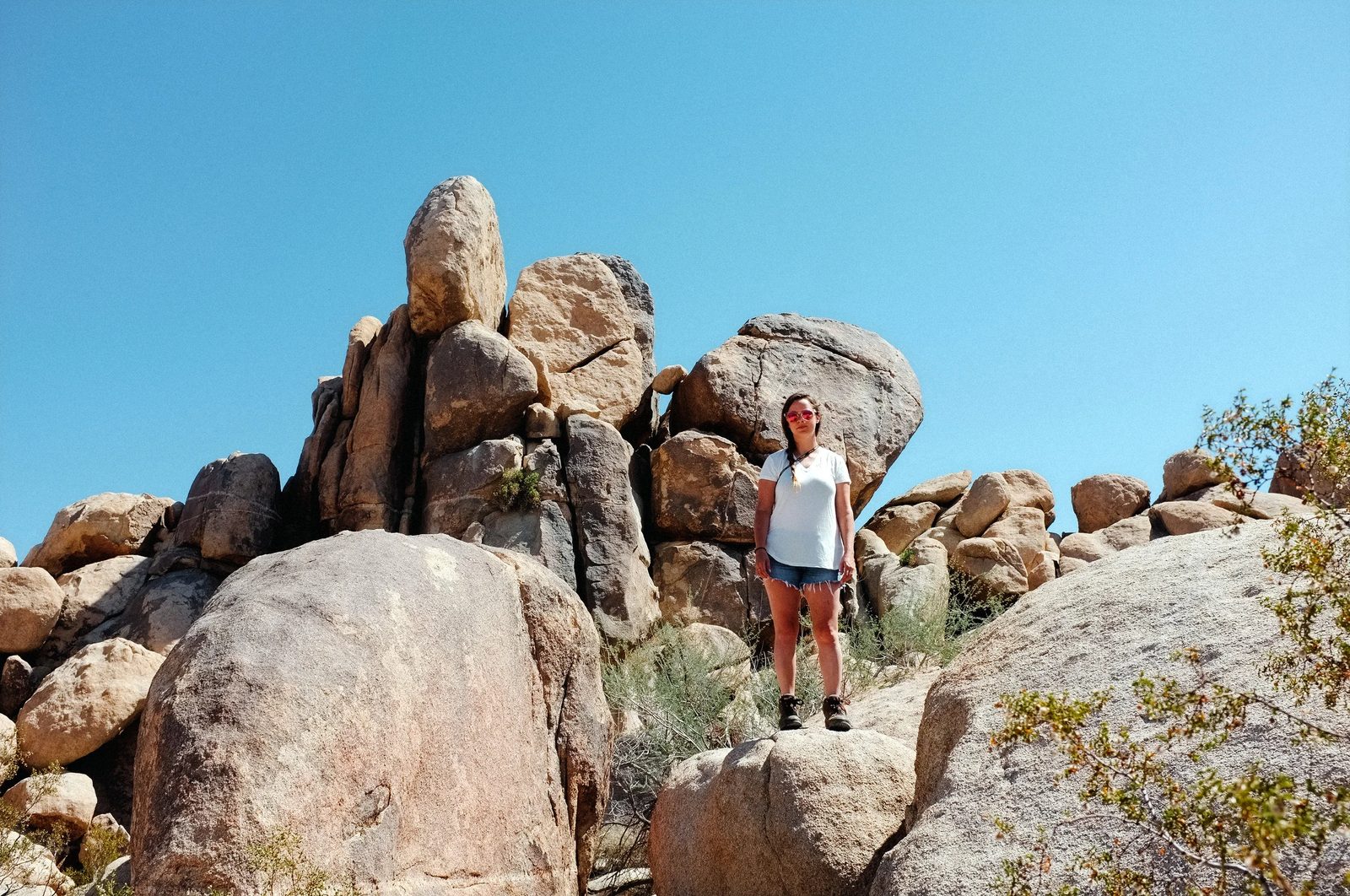 Joshua Tree — photo 6