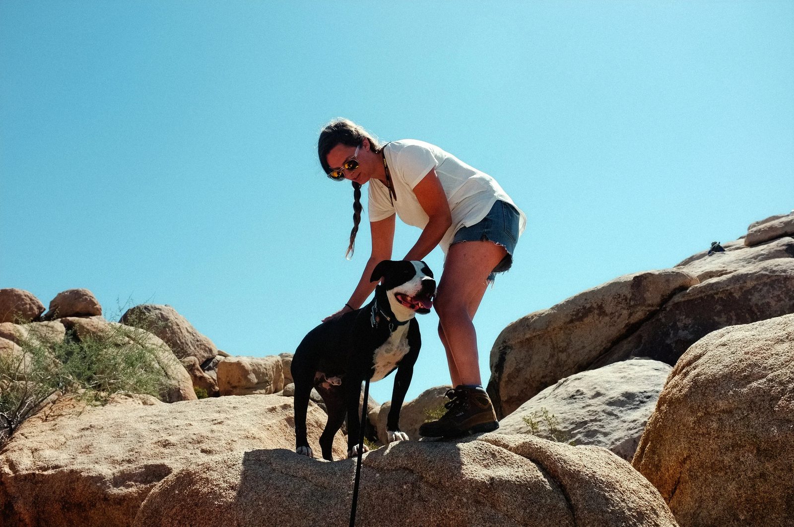 Joshua Tree — photo 7