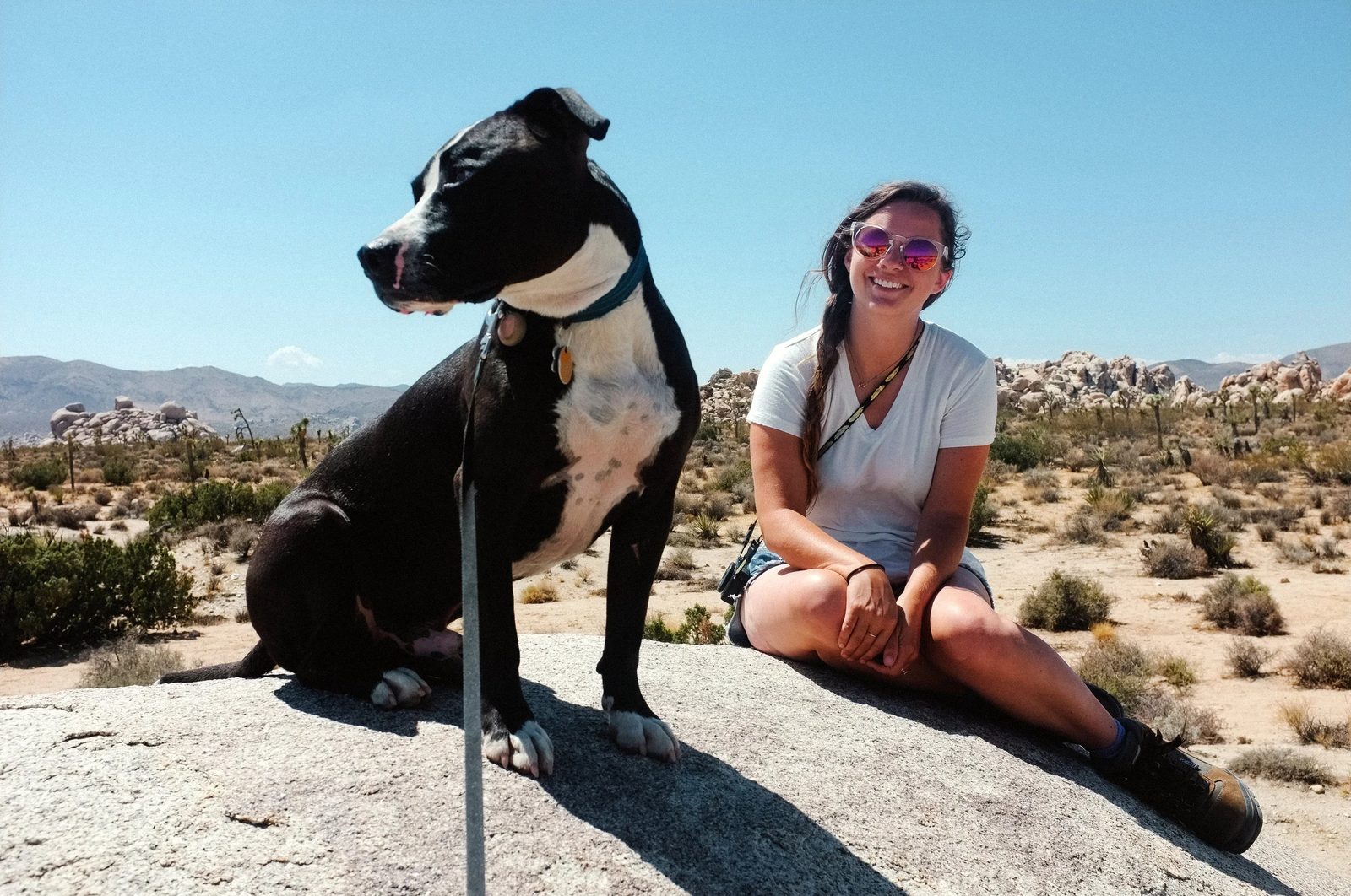 Joshua Tree — photo 21