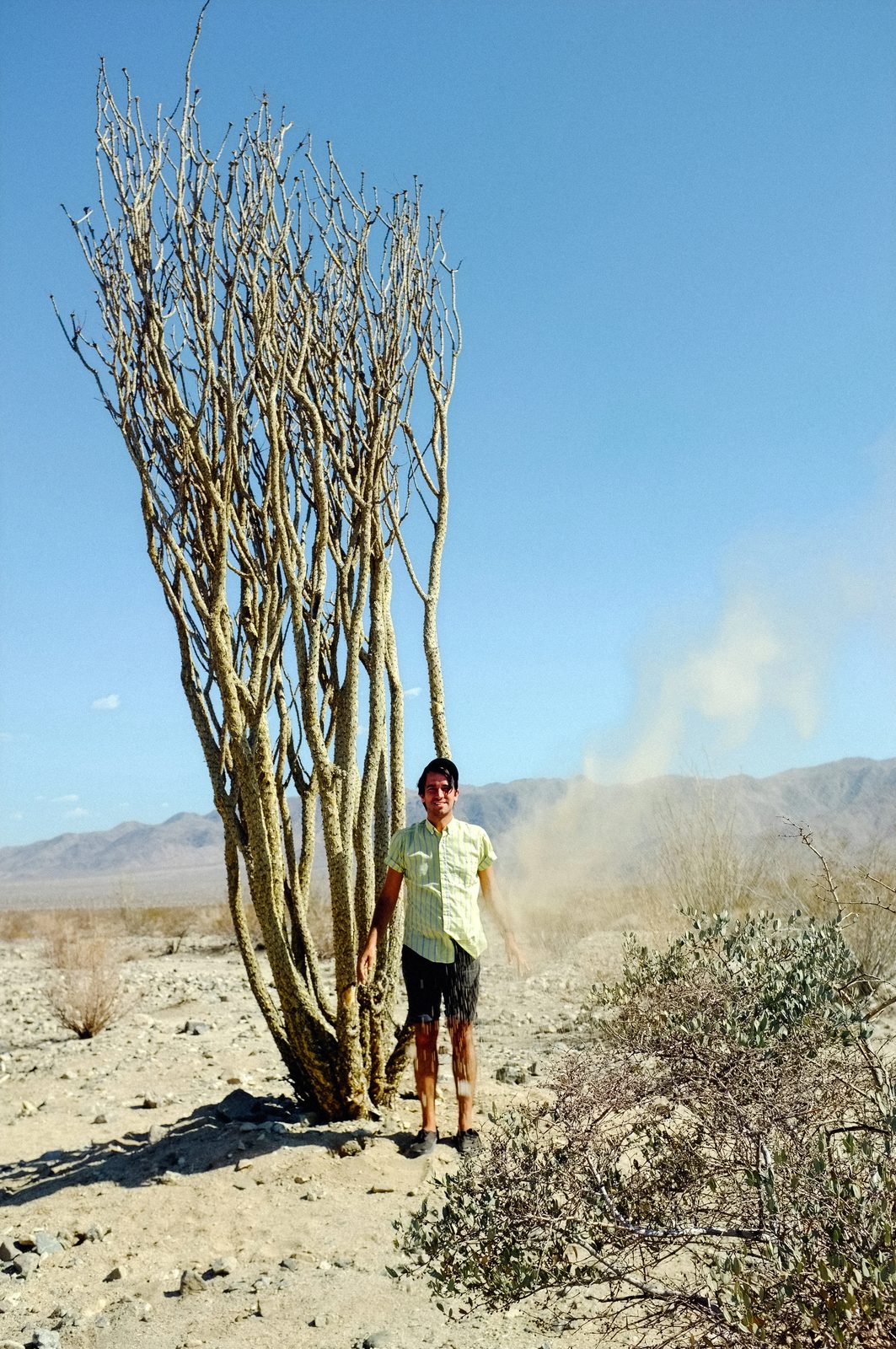 Joshua Tree — photo 17