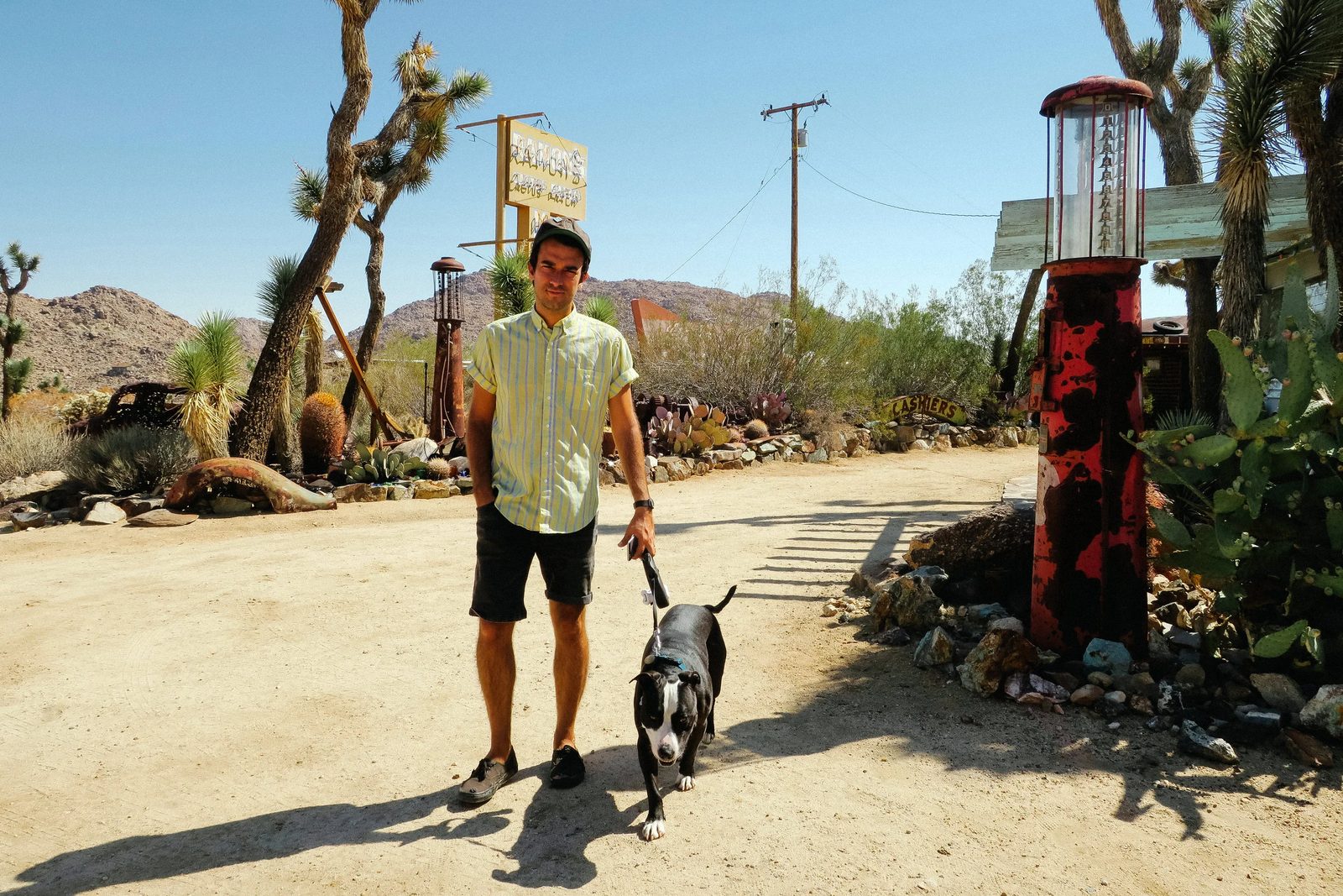 Joshua Tree — photo 38
