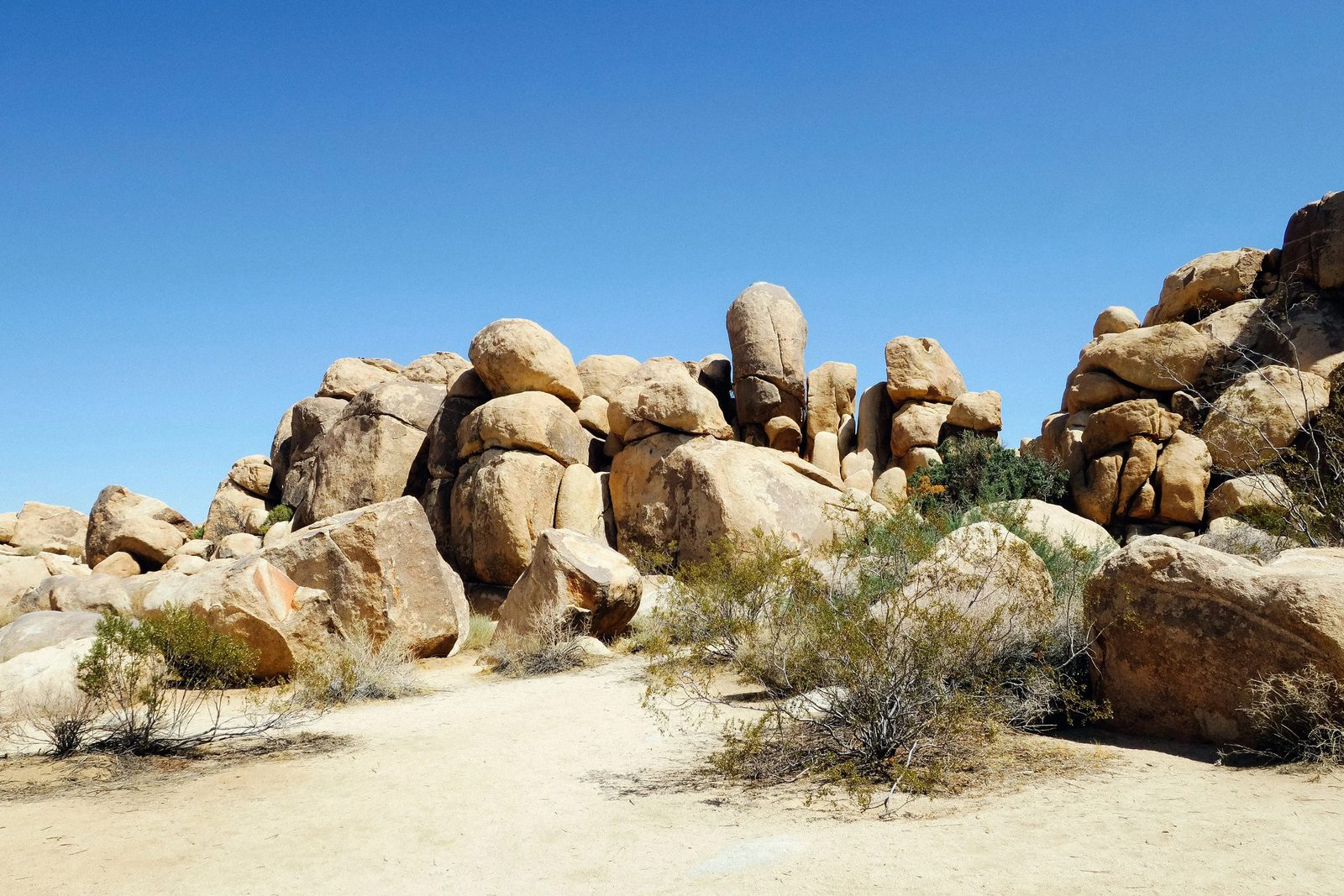 Joshua Tree — photo 12