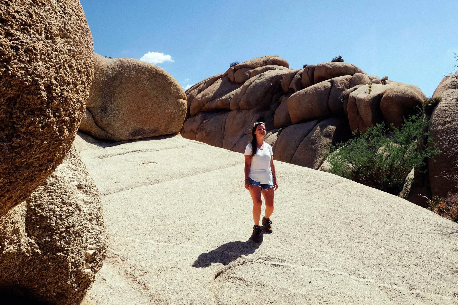 Joshua Tree — photo 19