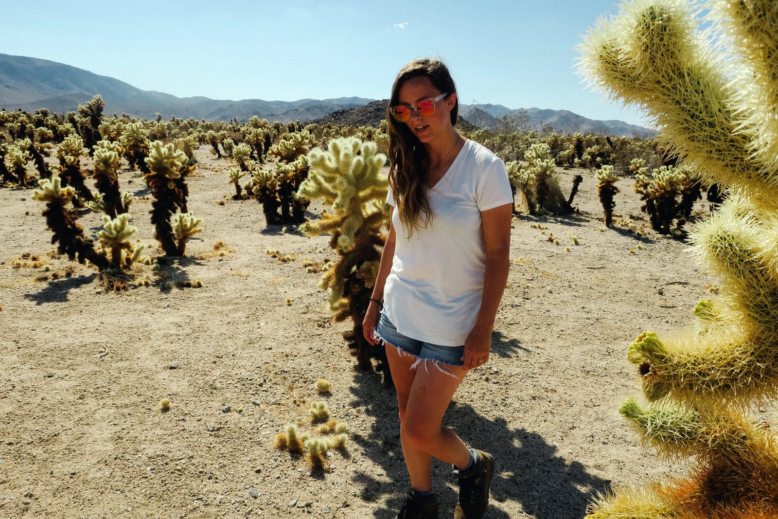 Joshua Tree — photo 11