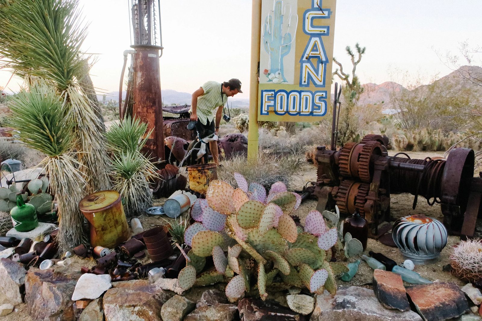 Joshua Tree — photo 35